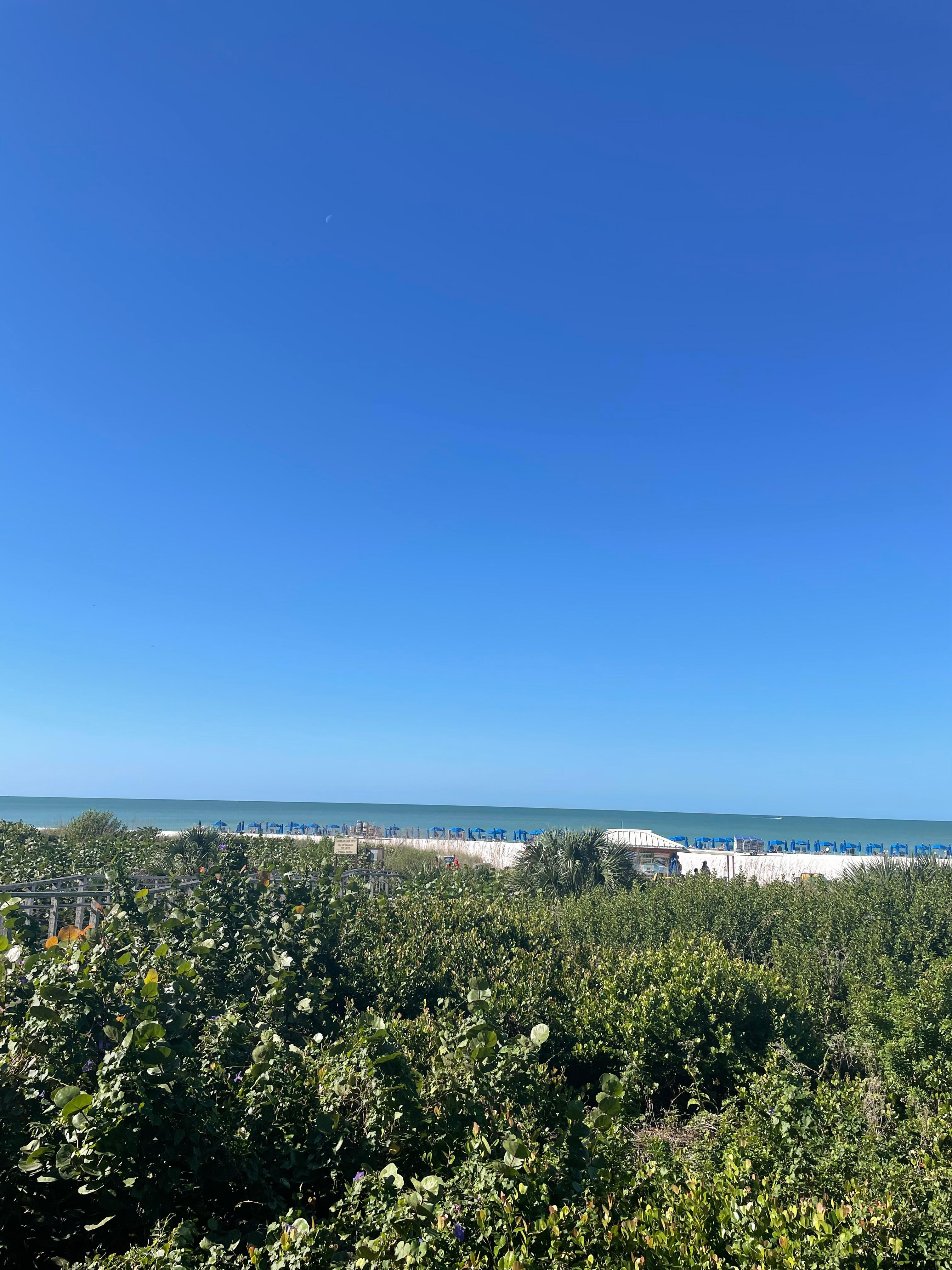 From
Hotel deck. Beautiful weather. 