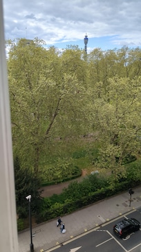 View from my window!