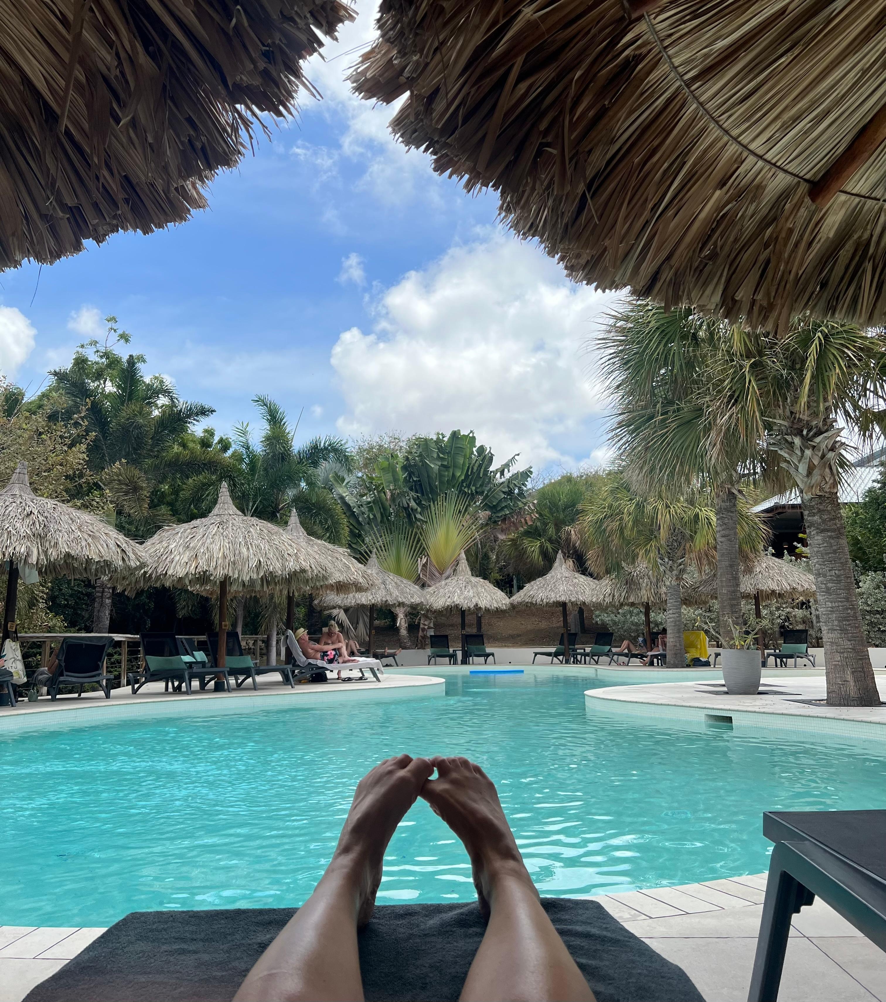 Deler av det nedre bassengområdet.