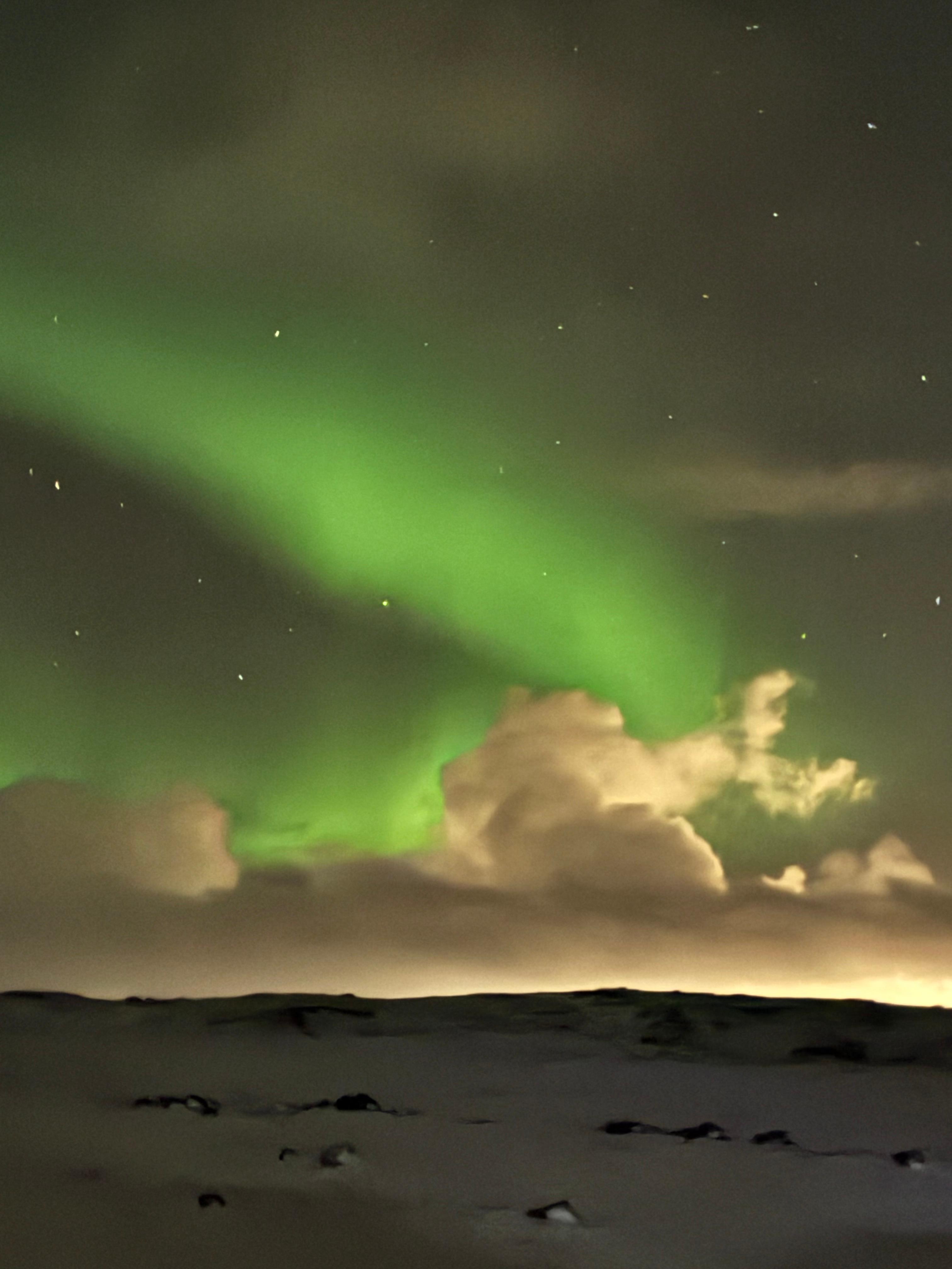 What we came to Iceland for!