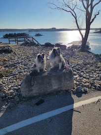 Dog friendly location...