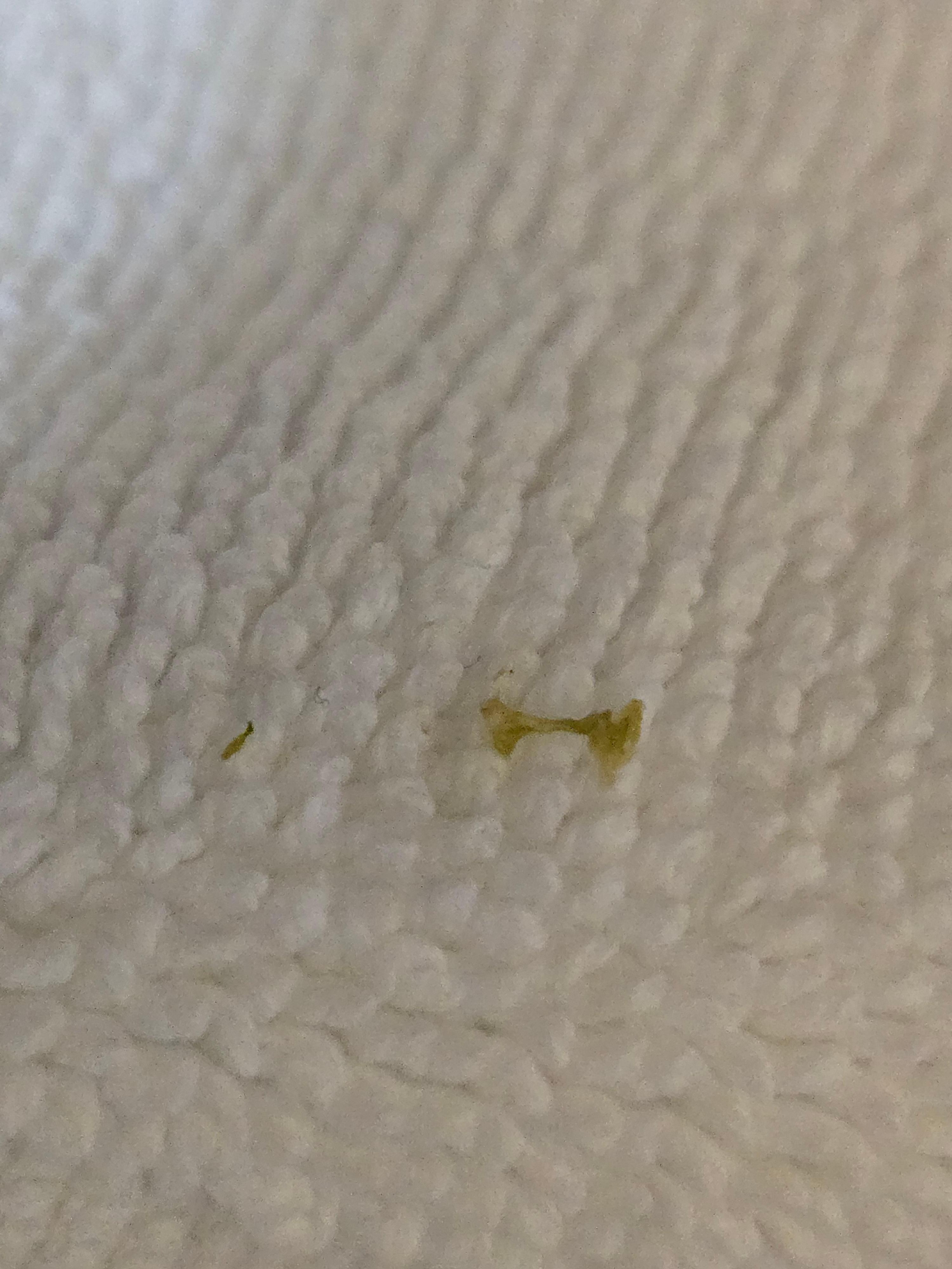 Nose snot on floor towel