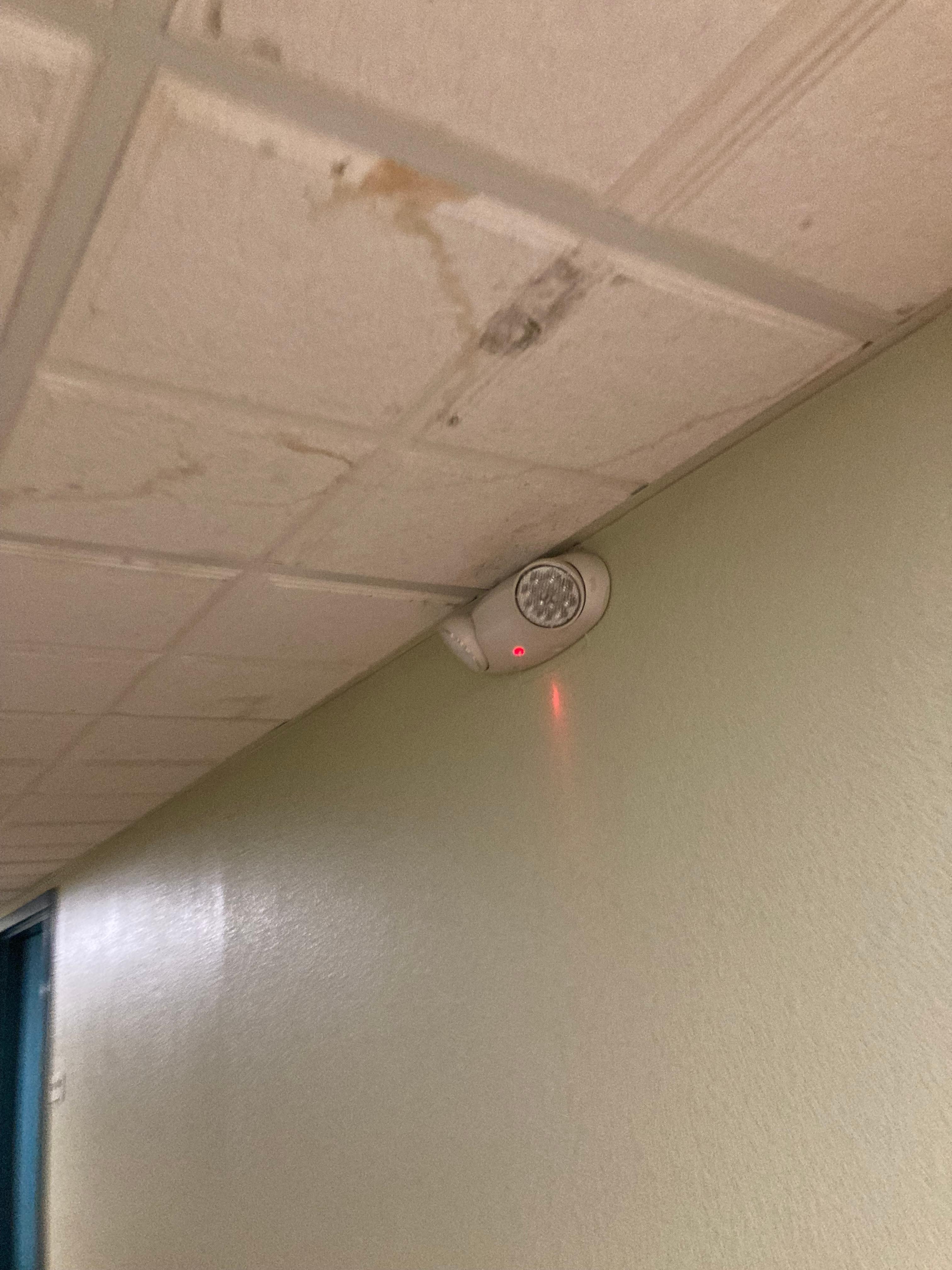 Moldy smells and ceilings