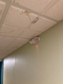 Moldy smells and ceilings