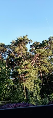 Blick vom Balkon