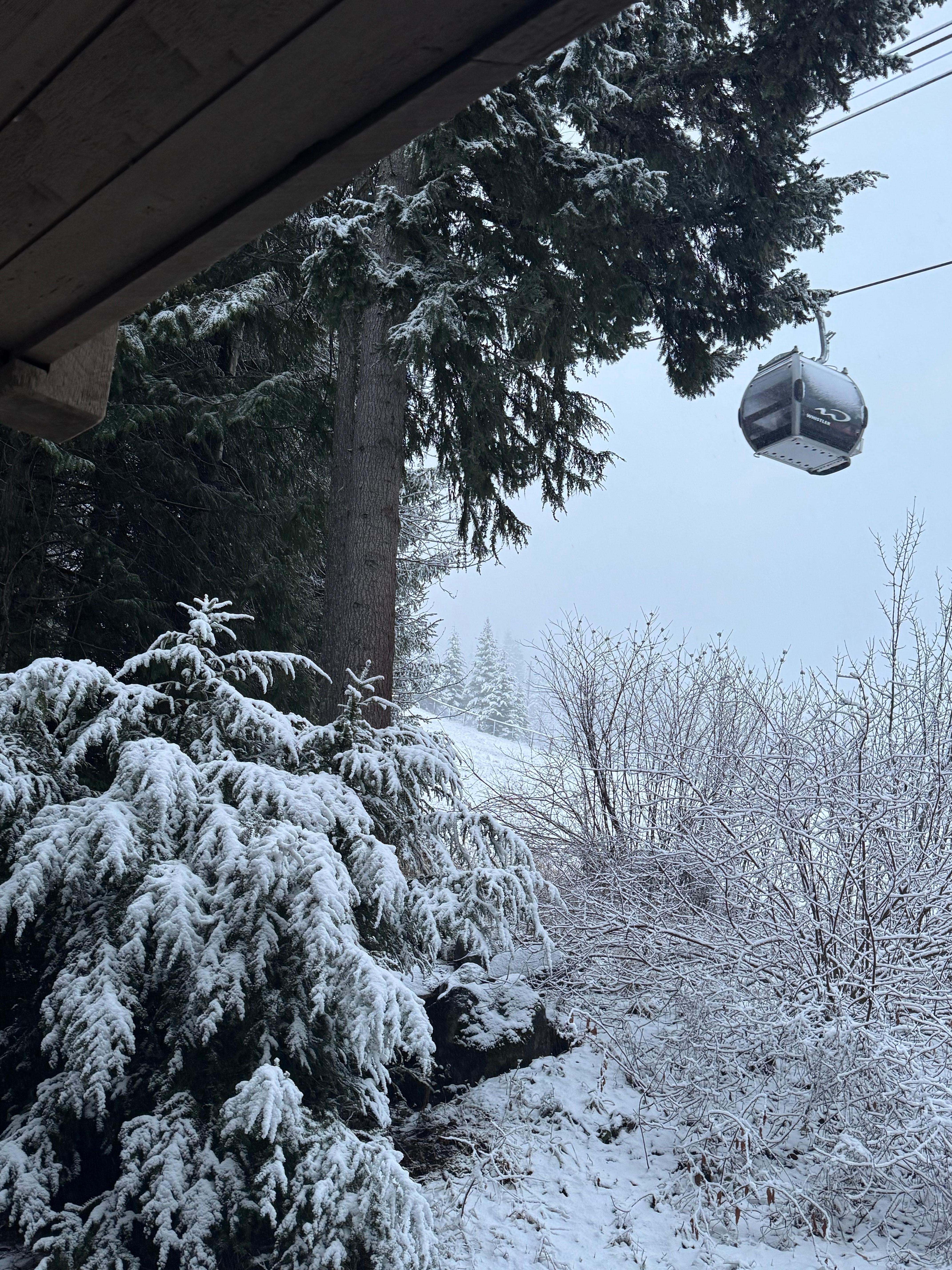 View from the living room porch.
