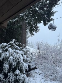 View from the living room porch.