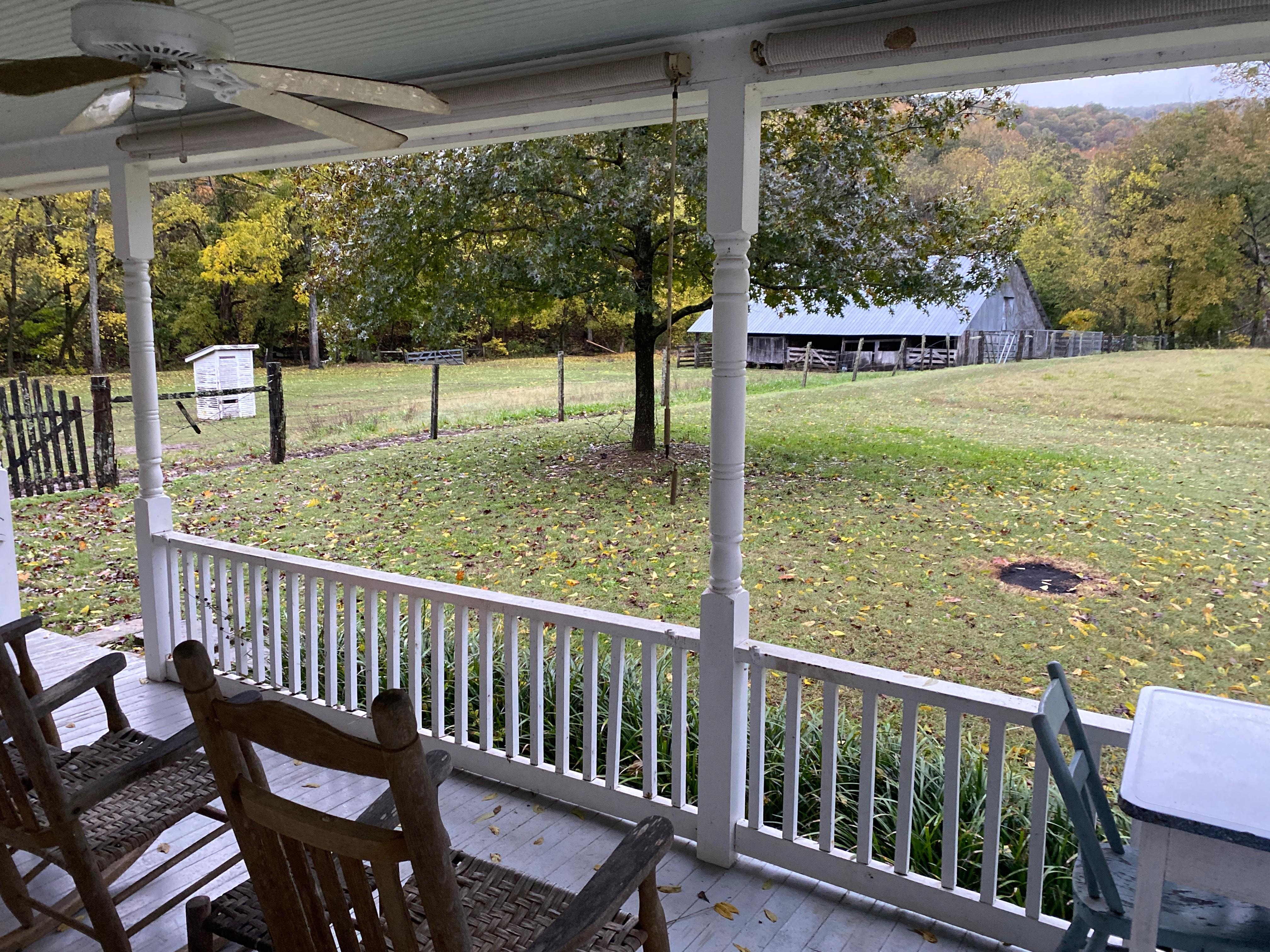 View from back porch. 