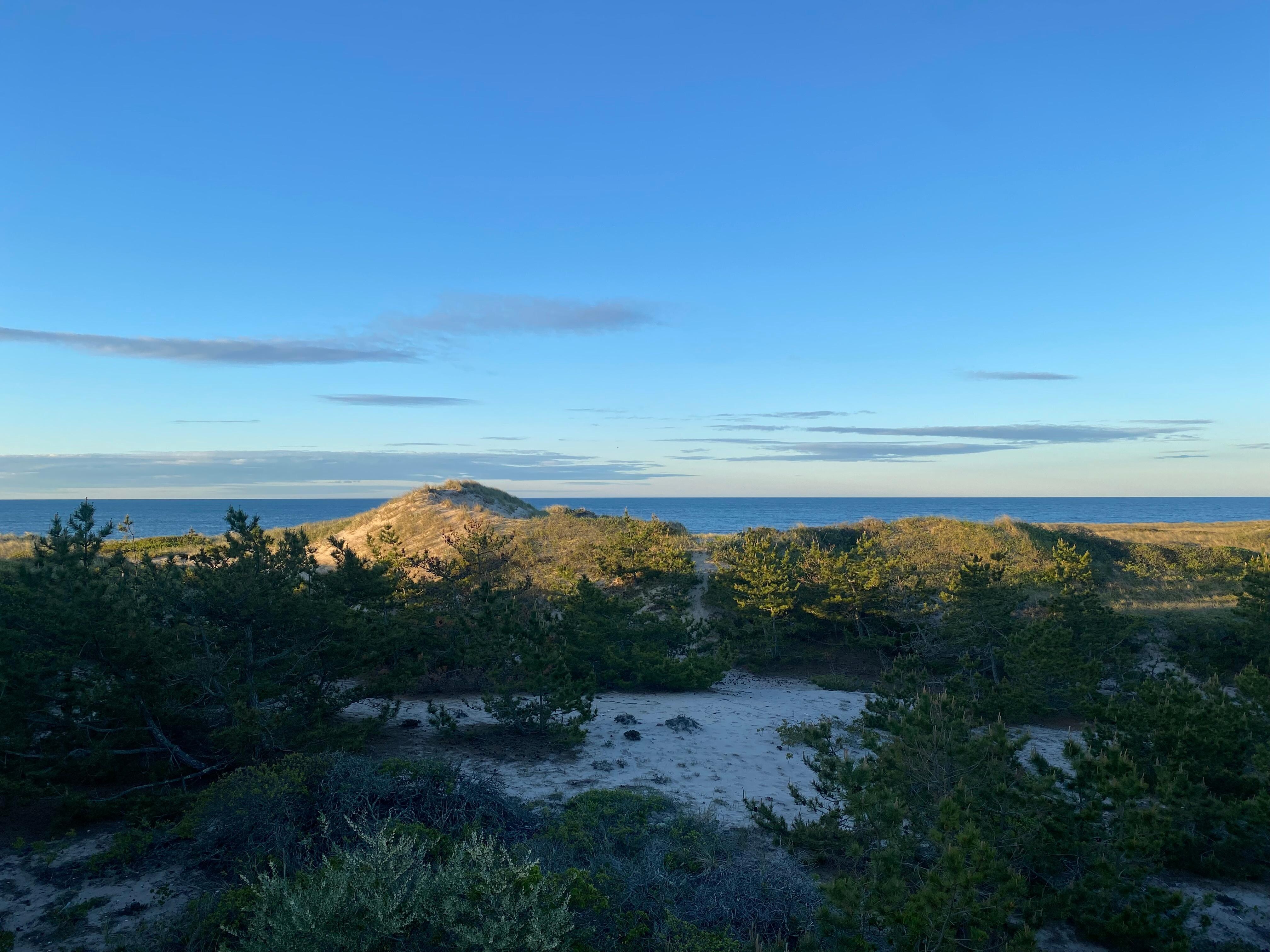 view from the deck