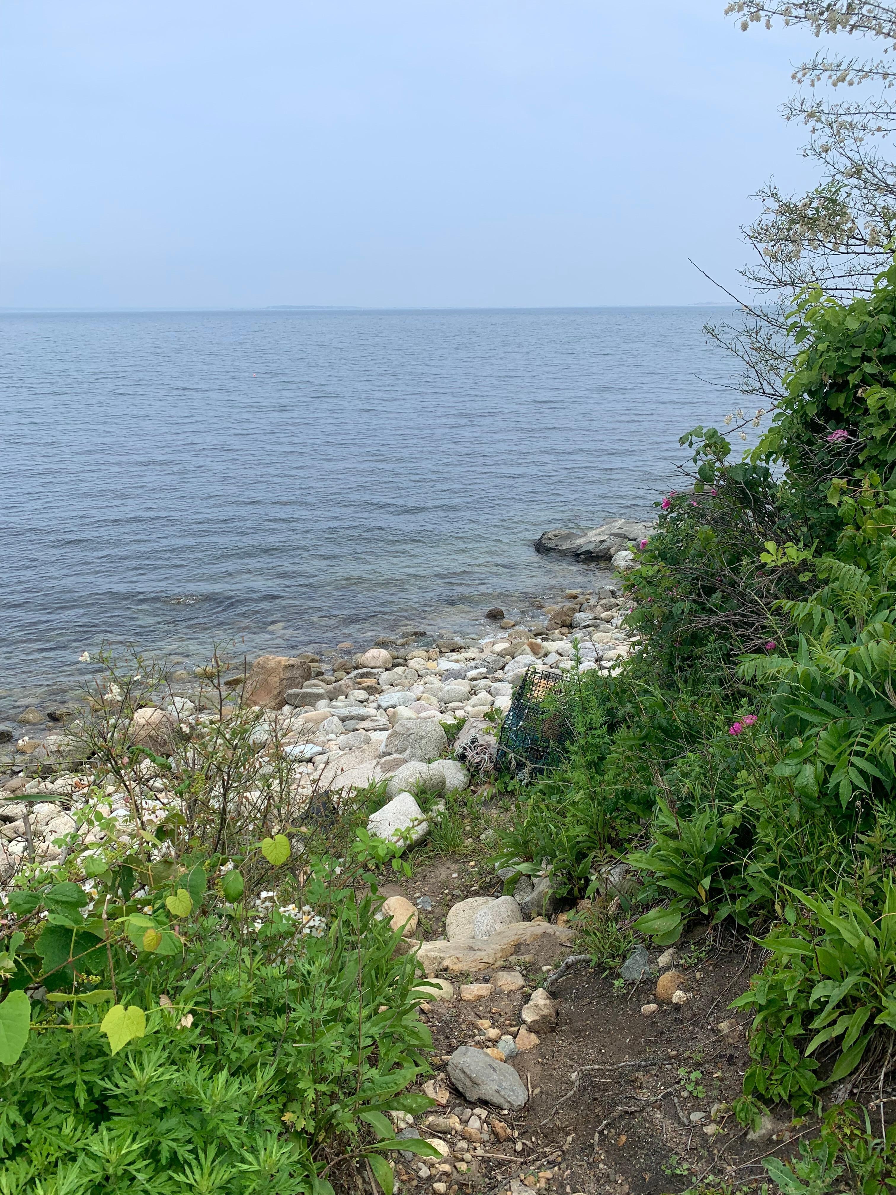 Walk to the water