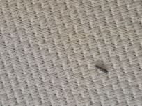Bed Mattress