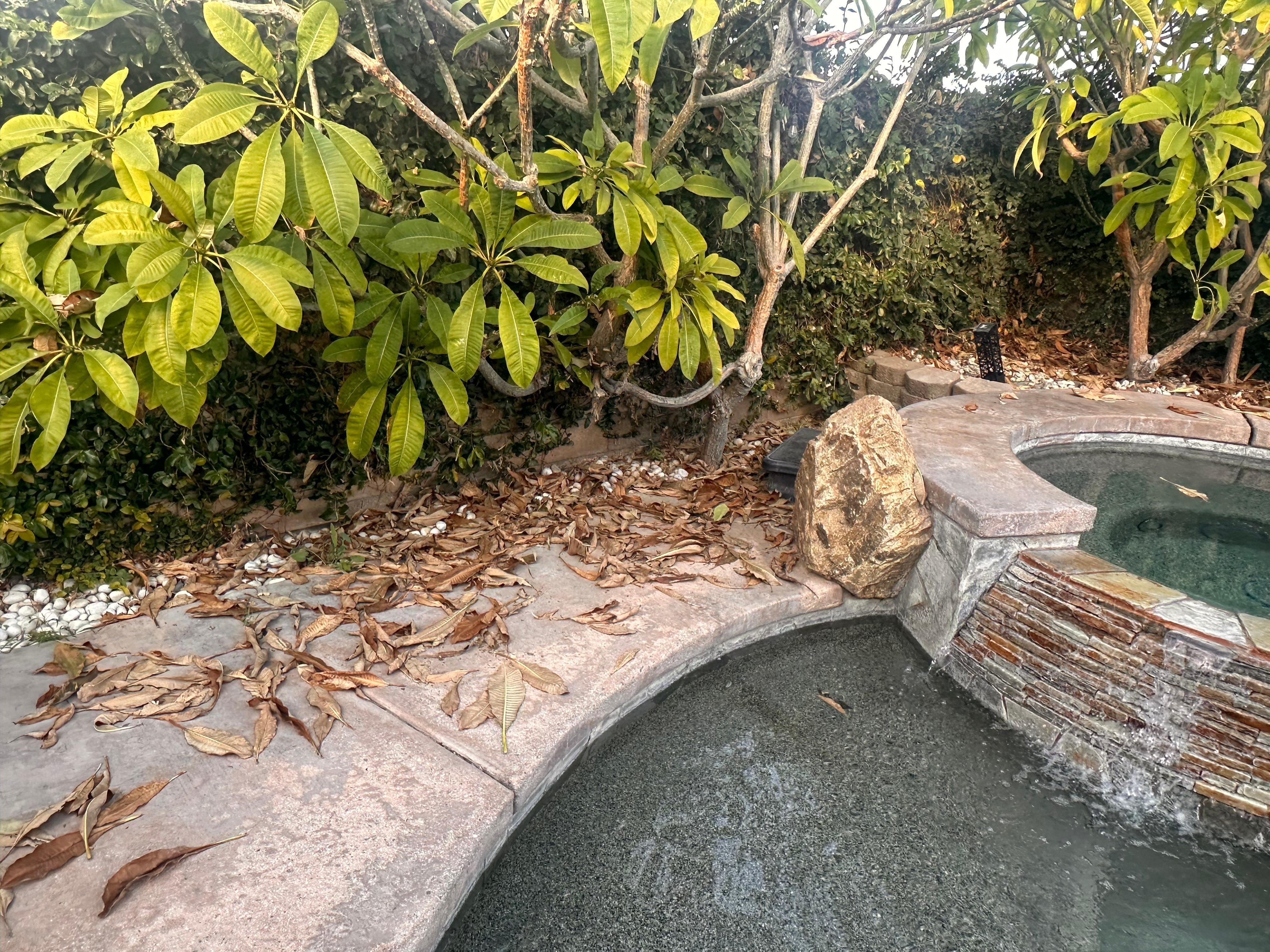 Backyard not cleaned up