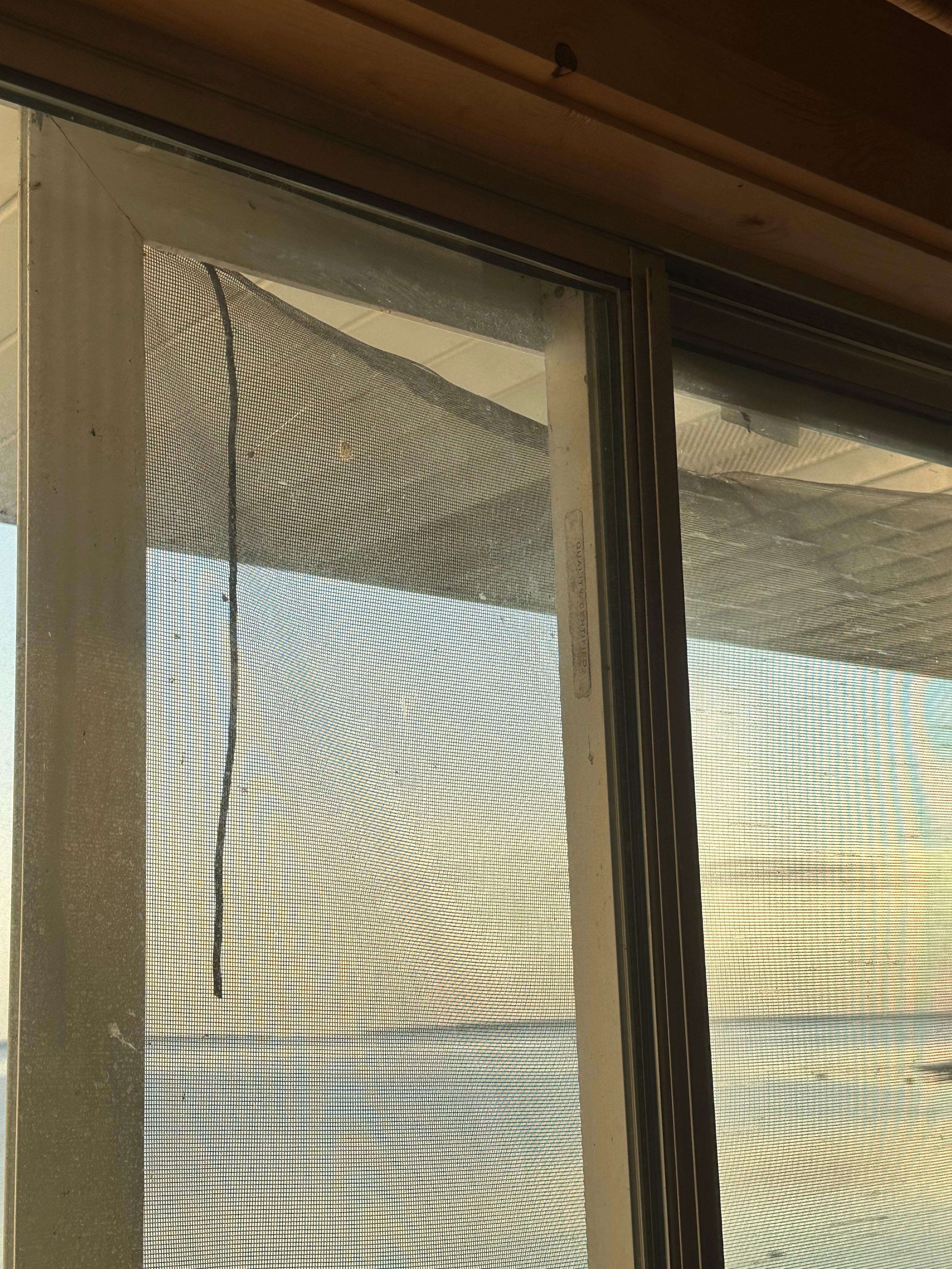 Torn sliding glass screen door. 