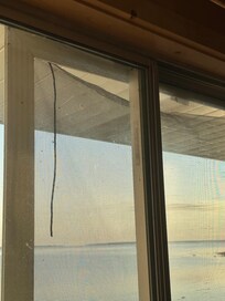 Torn sliding glass screen door.