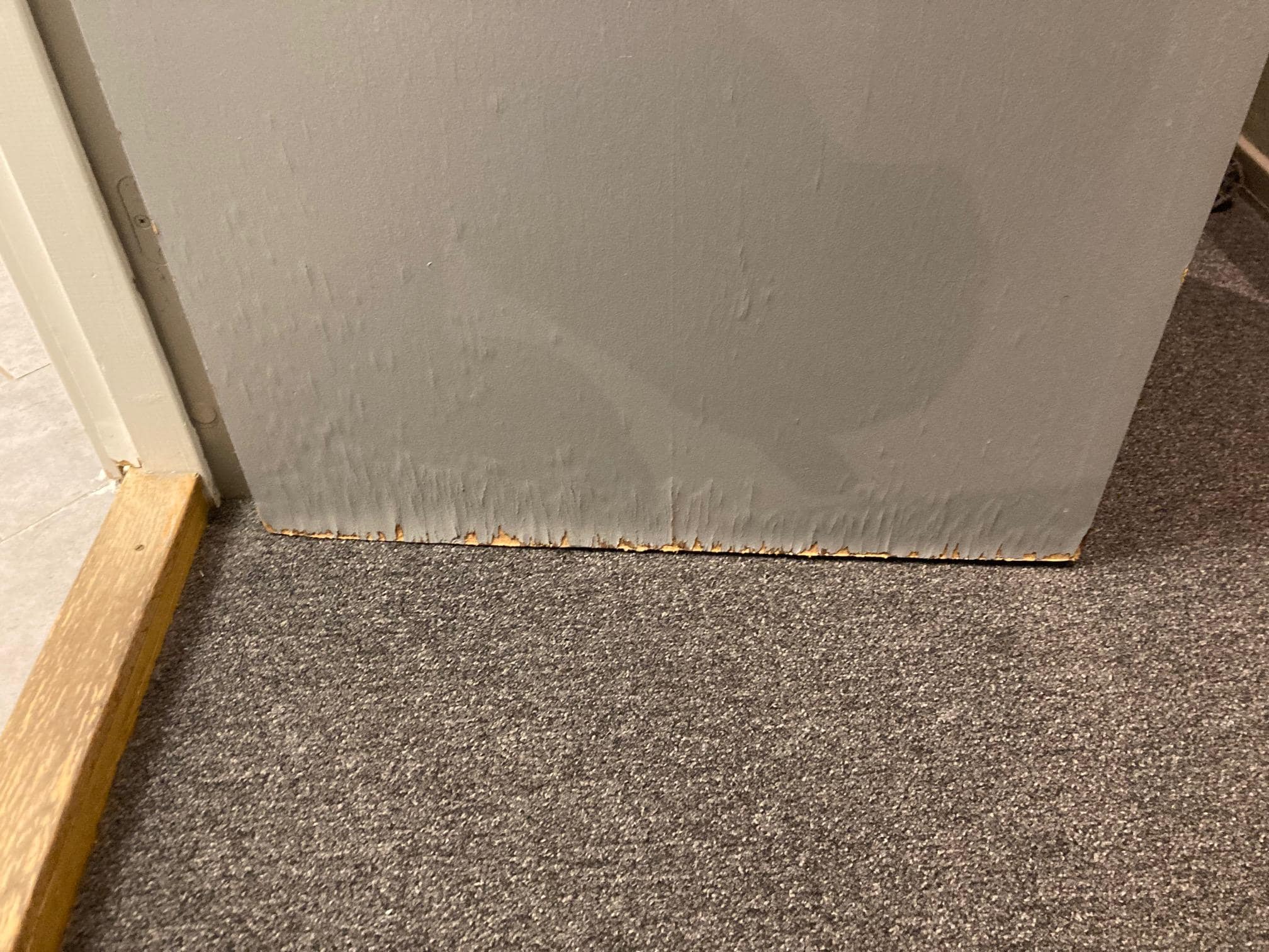 Badrumsdörren är rutten nertill och färgen flagnar