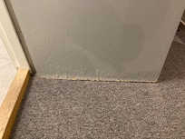 Badrumsdörren är rutten nertill och färgen flagnar