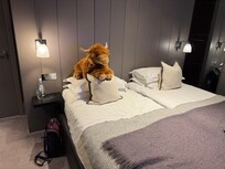 Bedroom does not come with a hairy coo (that’s mine) but it is hairy coo approved!