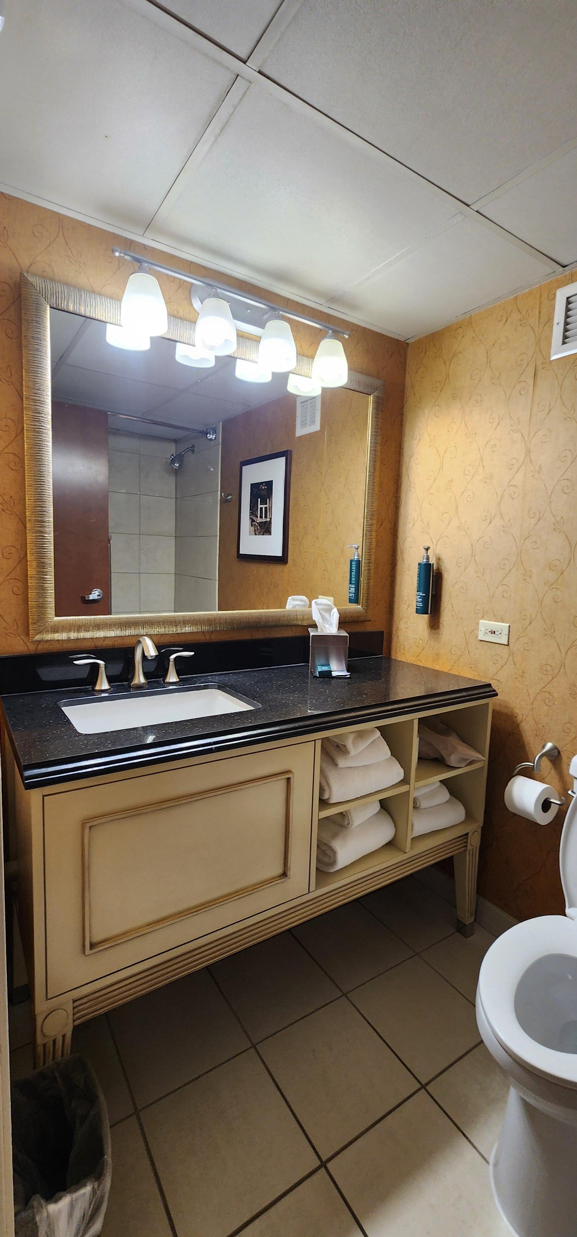 Very clean bathroom with large bottles of shampoo, conditioner, bodywash & lotion attached to the wall.