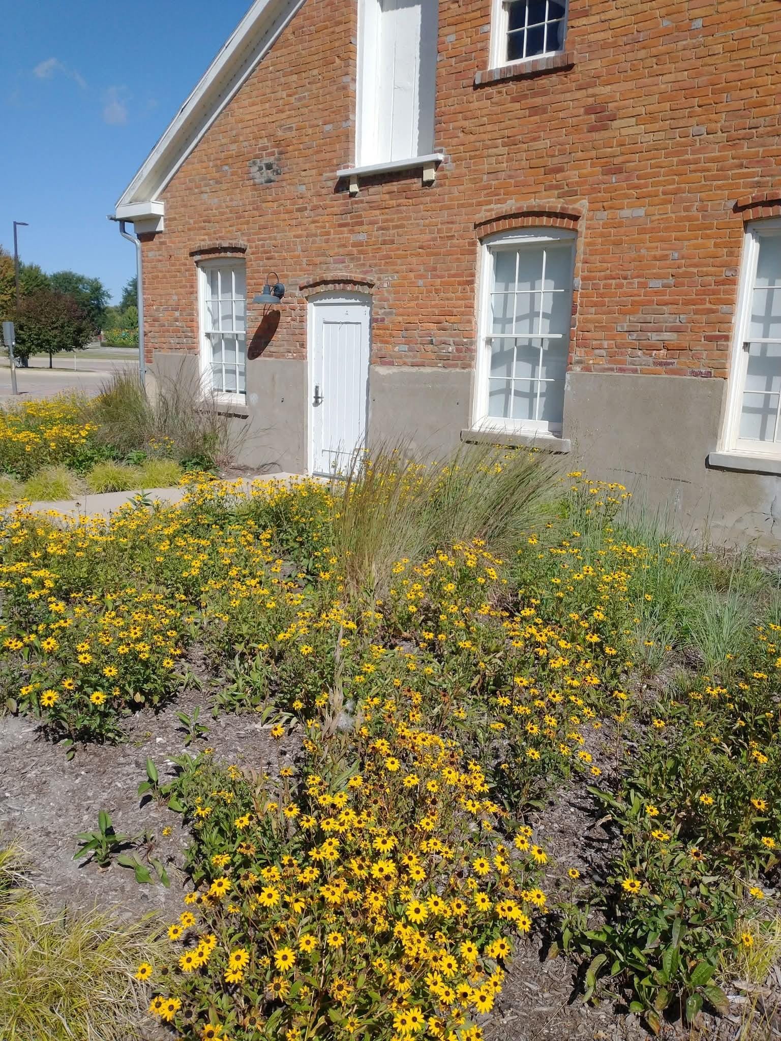 The hotel campus is beautifully landscaped with wildflower beds. So peaceful.