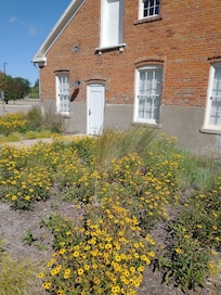 The hotel campus is beautifully landscaped with wildflower beds. So peaceful.