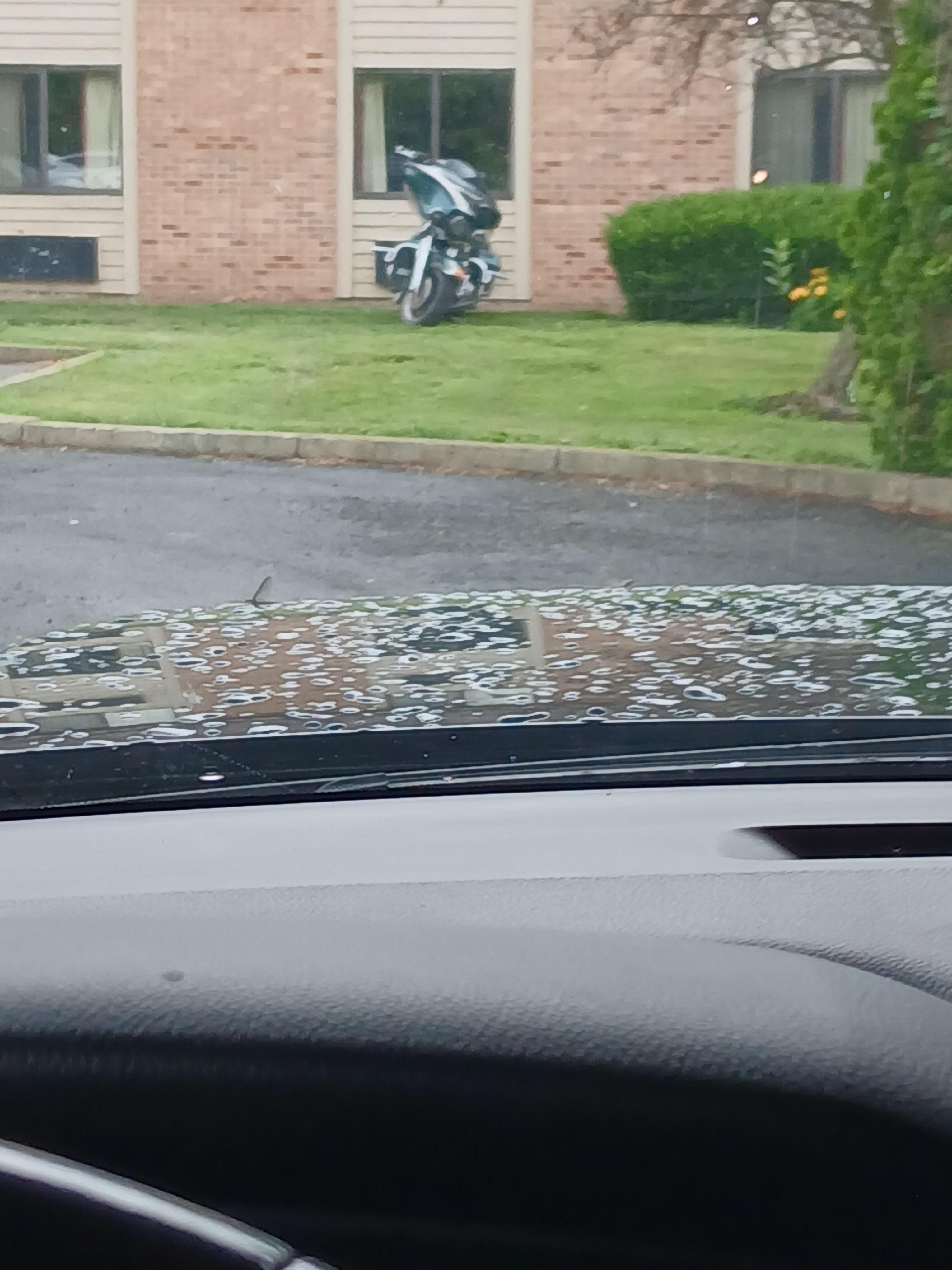 parking on the lawn in the front of the building