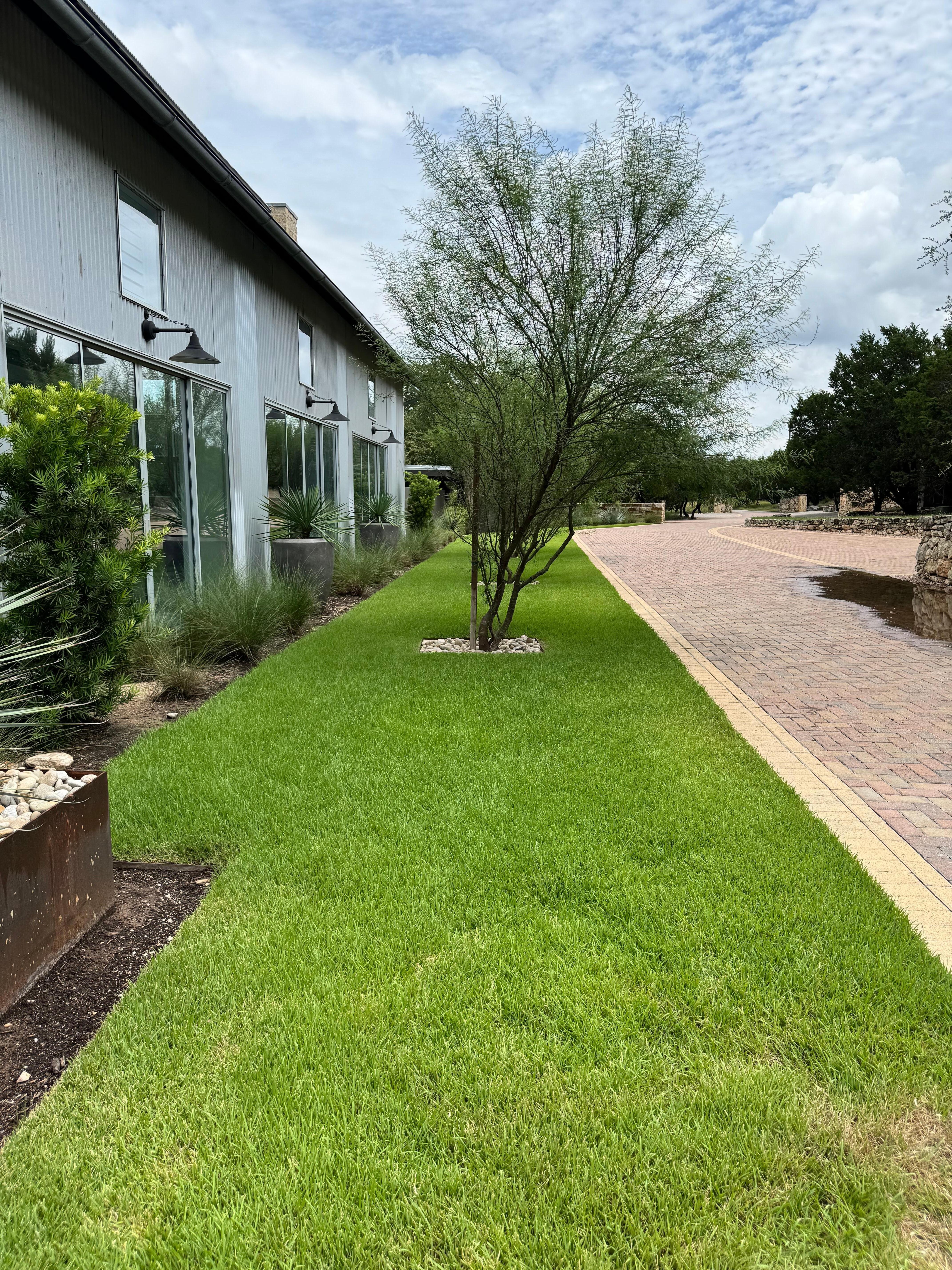 This is standing at the front door looking towards the entrance. Building on left is main area: kitchen, dining, living room which looks onto pool