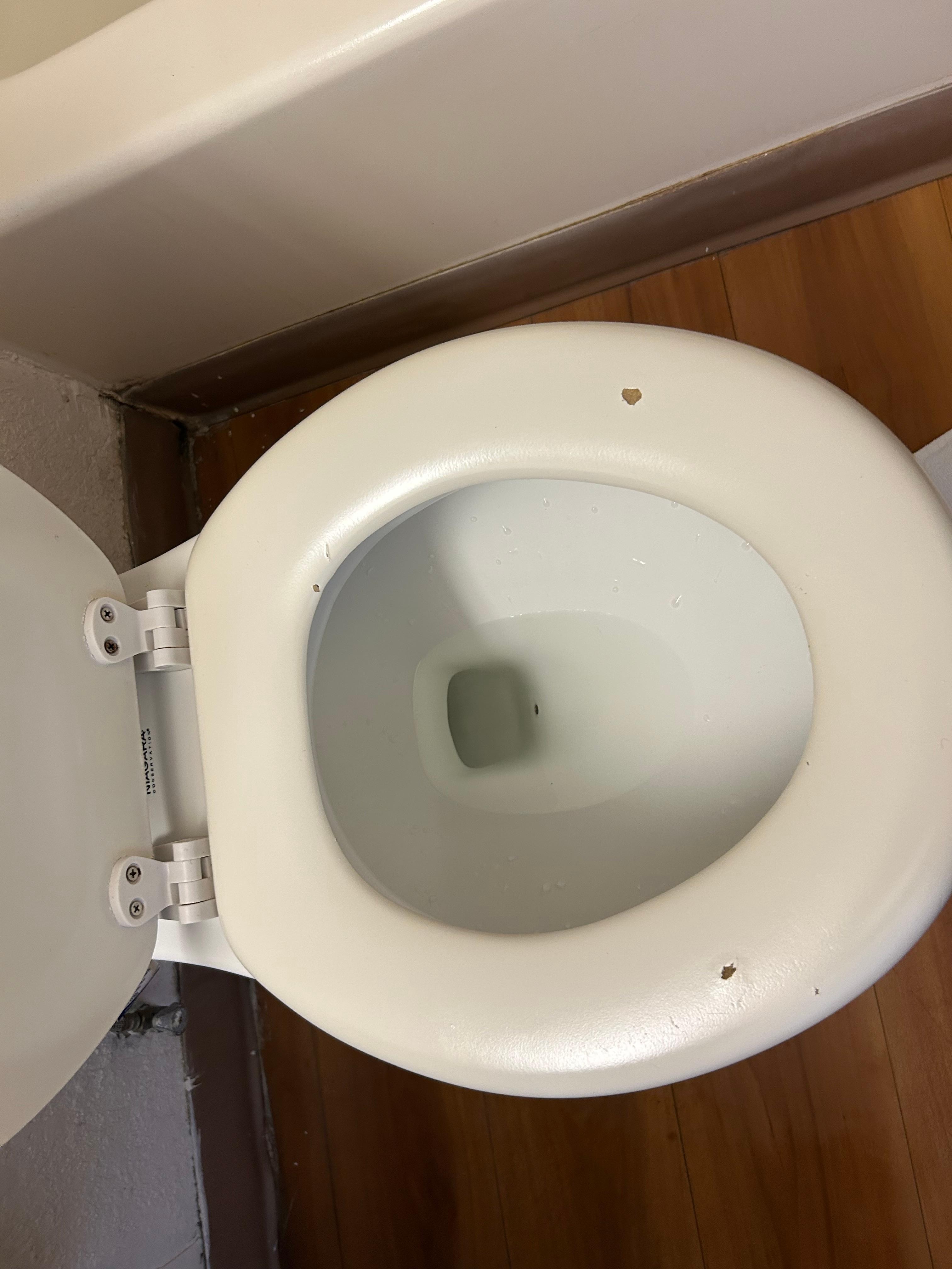 Toilet seat