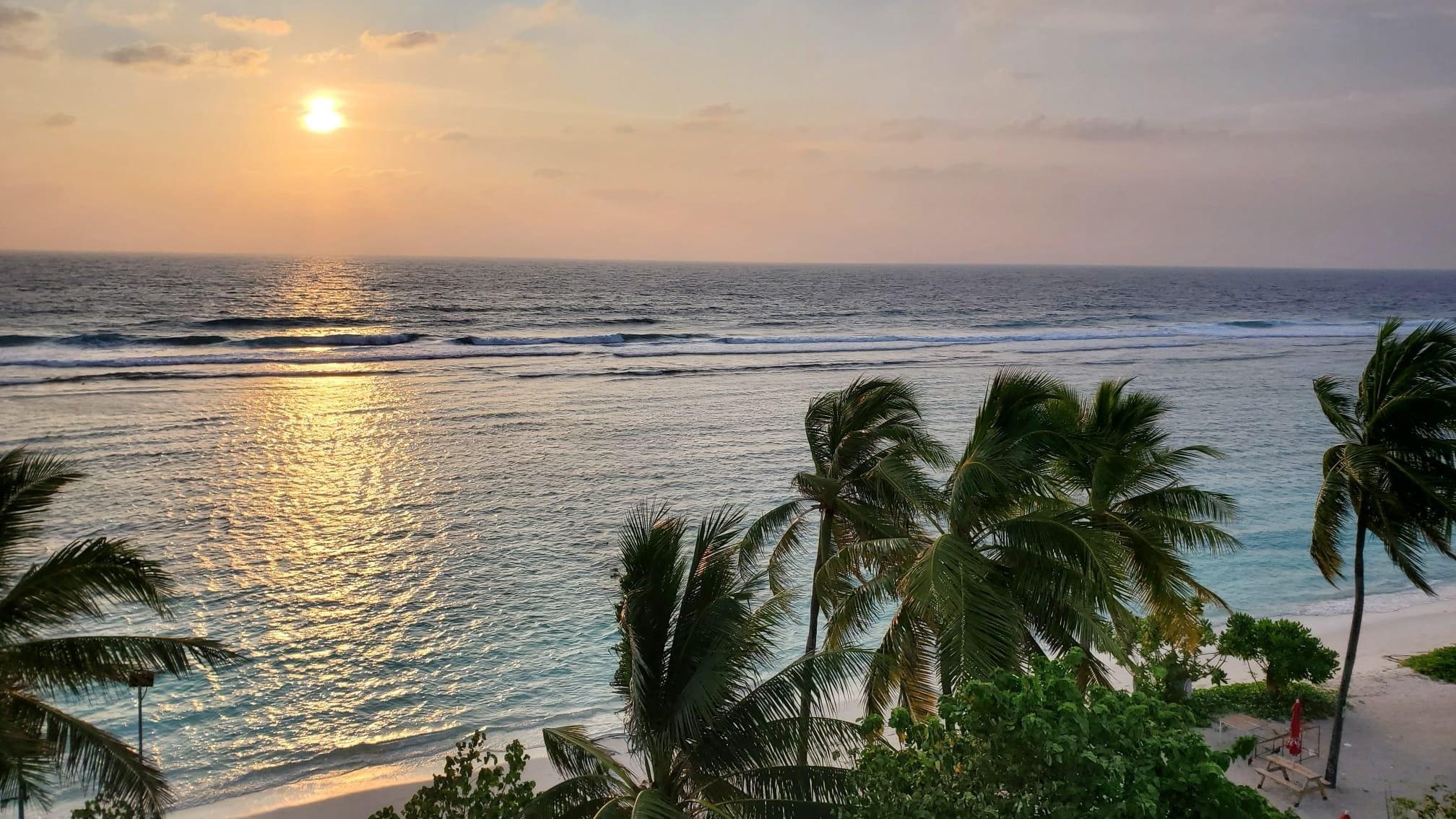 View from the room. Sunrise