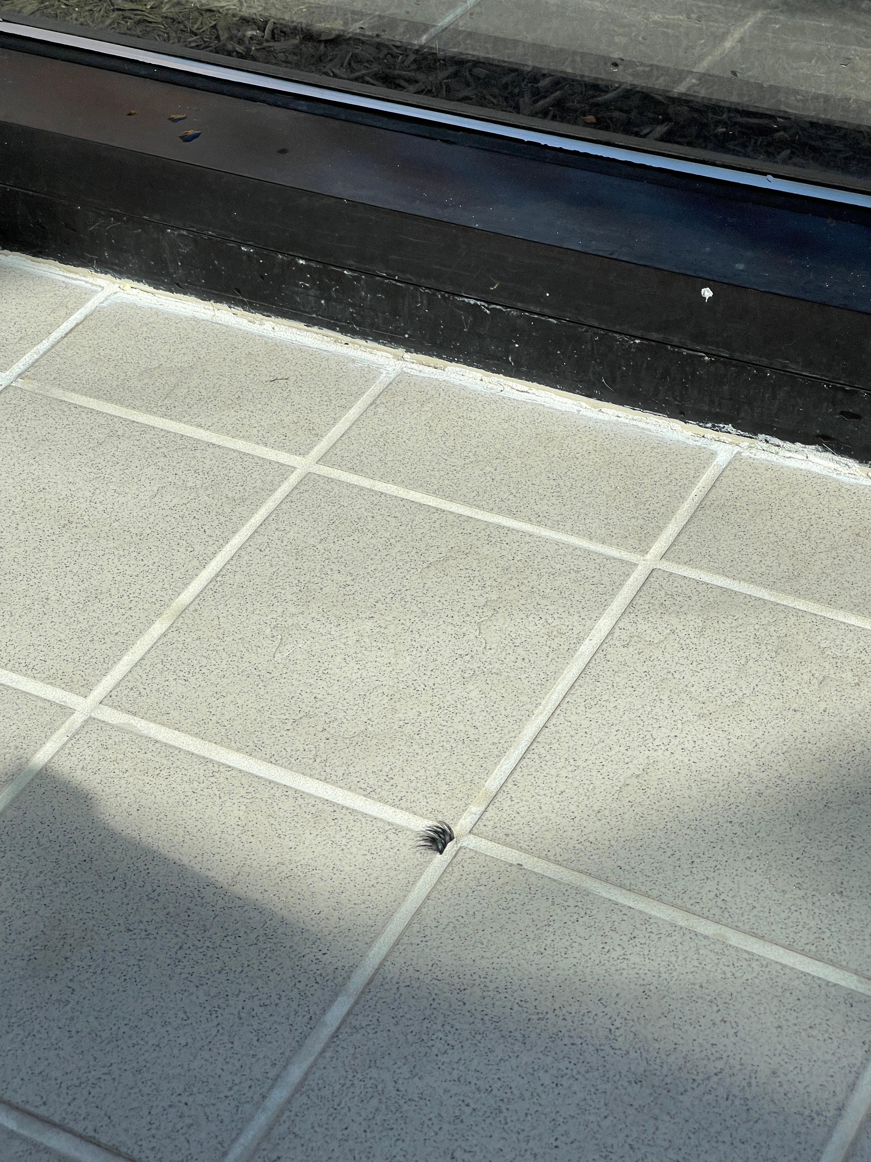 Eyelash near pool area