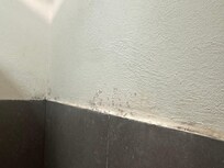 Shower mold needs thorough cleaning.