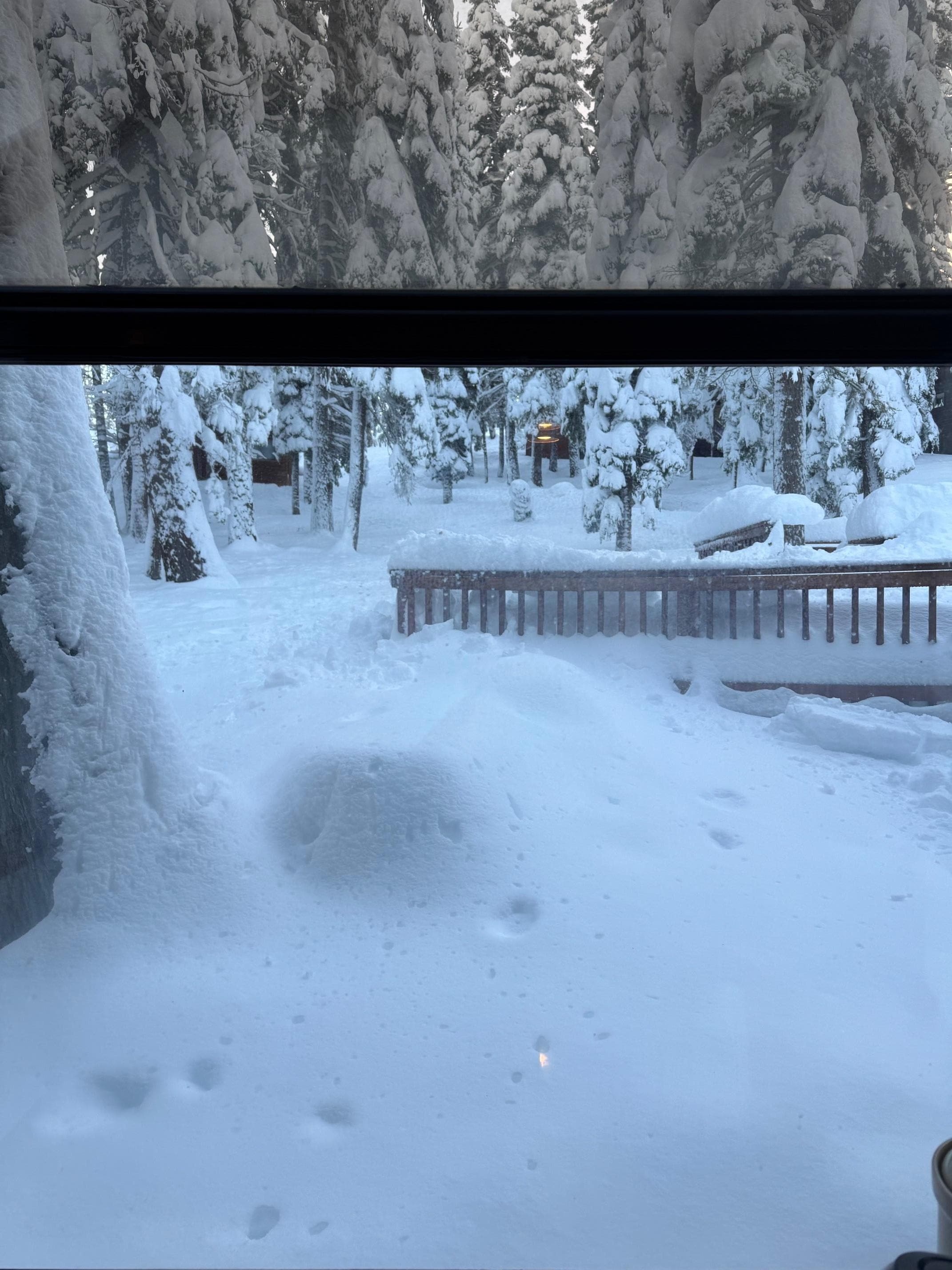 View from the kitchen window