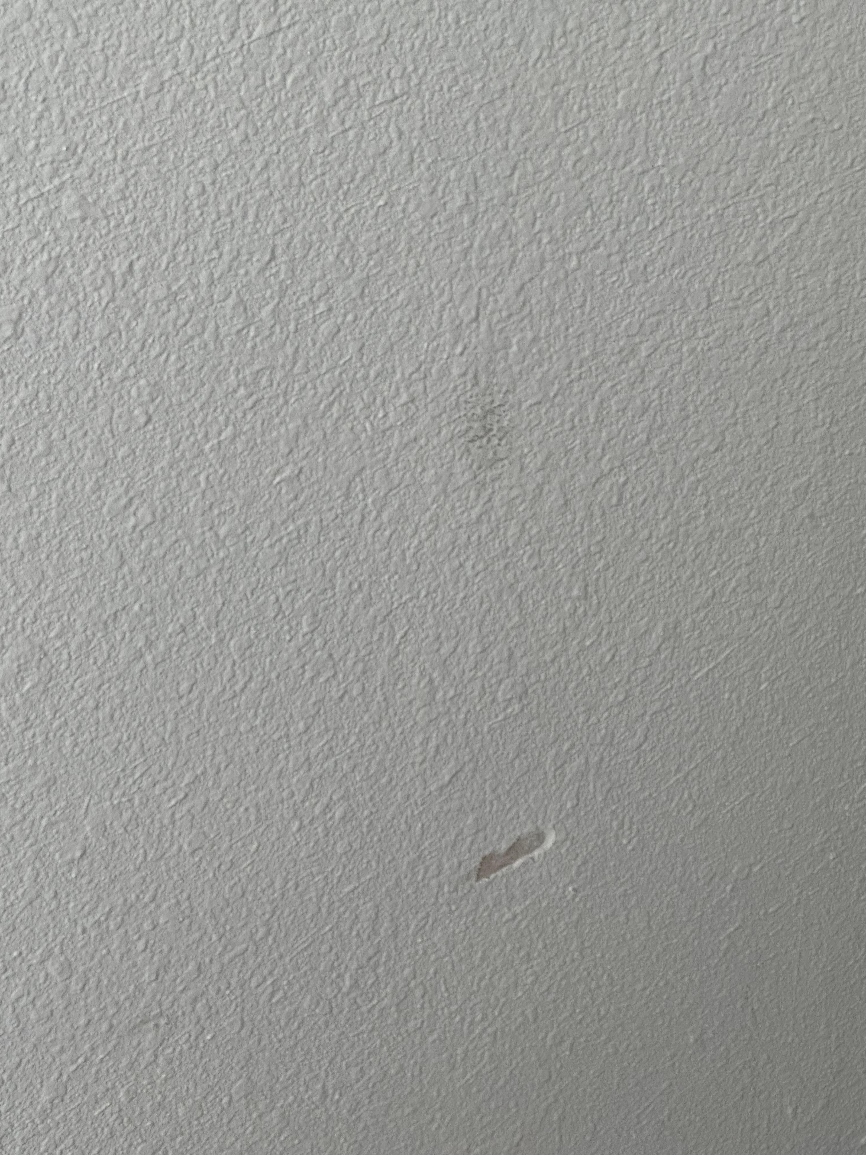 Dirty walls, dings in drywall throughout home.