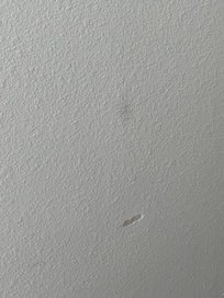 Dirty walls, dings in drywall throughout home.