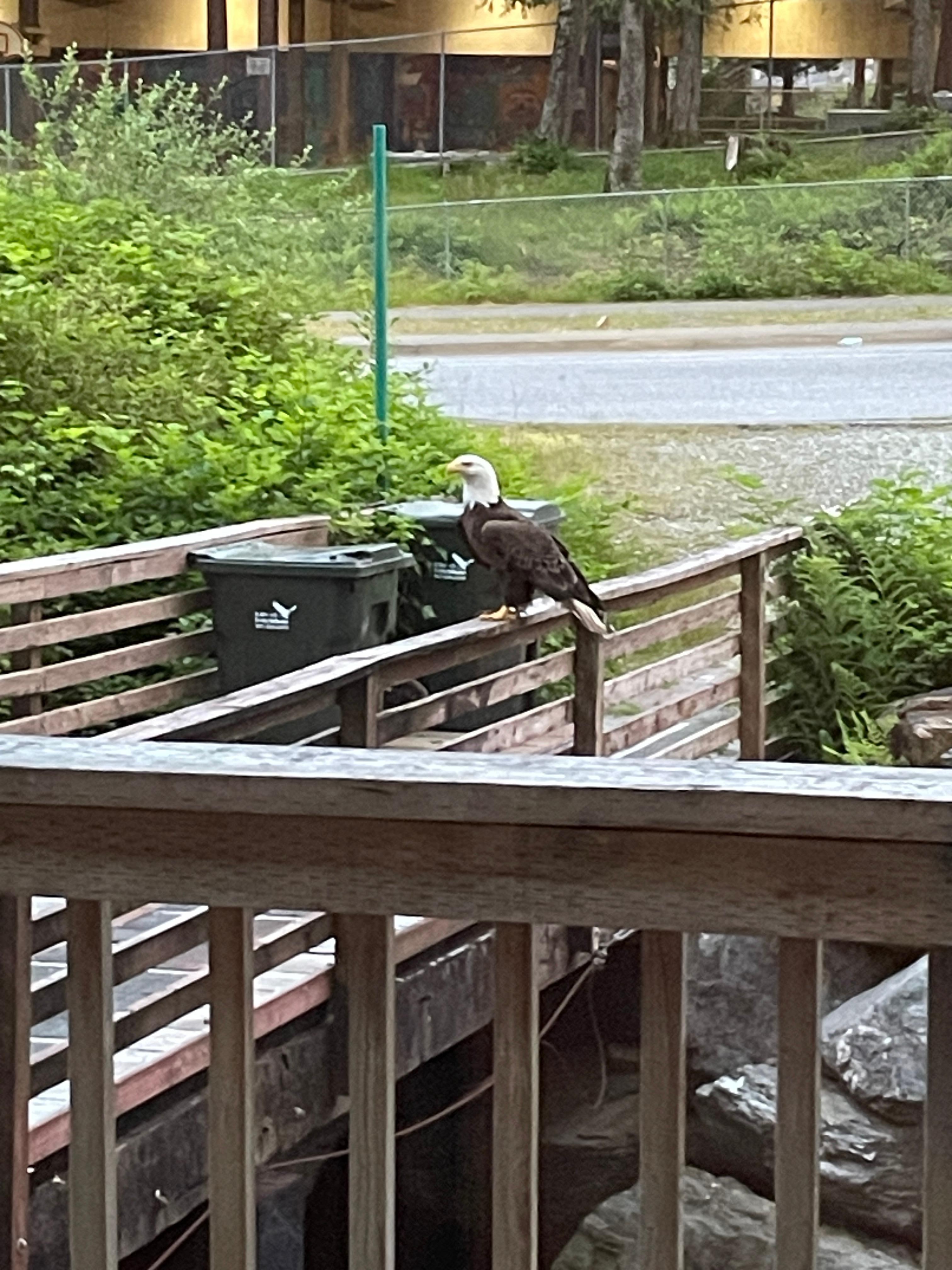 Outside on the walkway