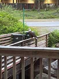 Outside on the walkway