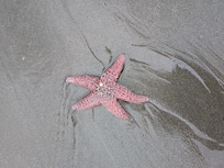 Walk on the beach