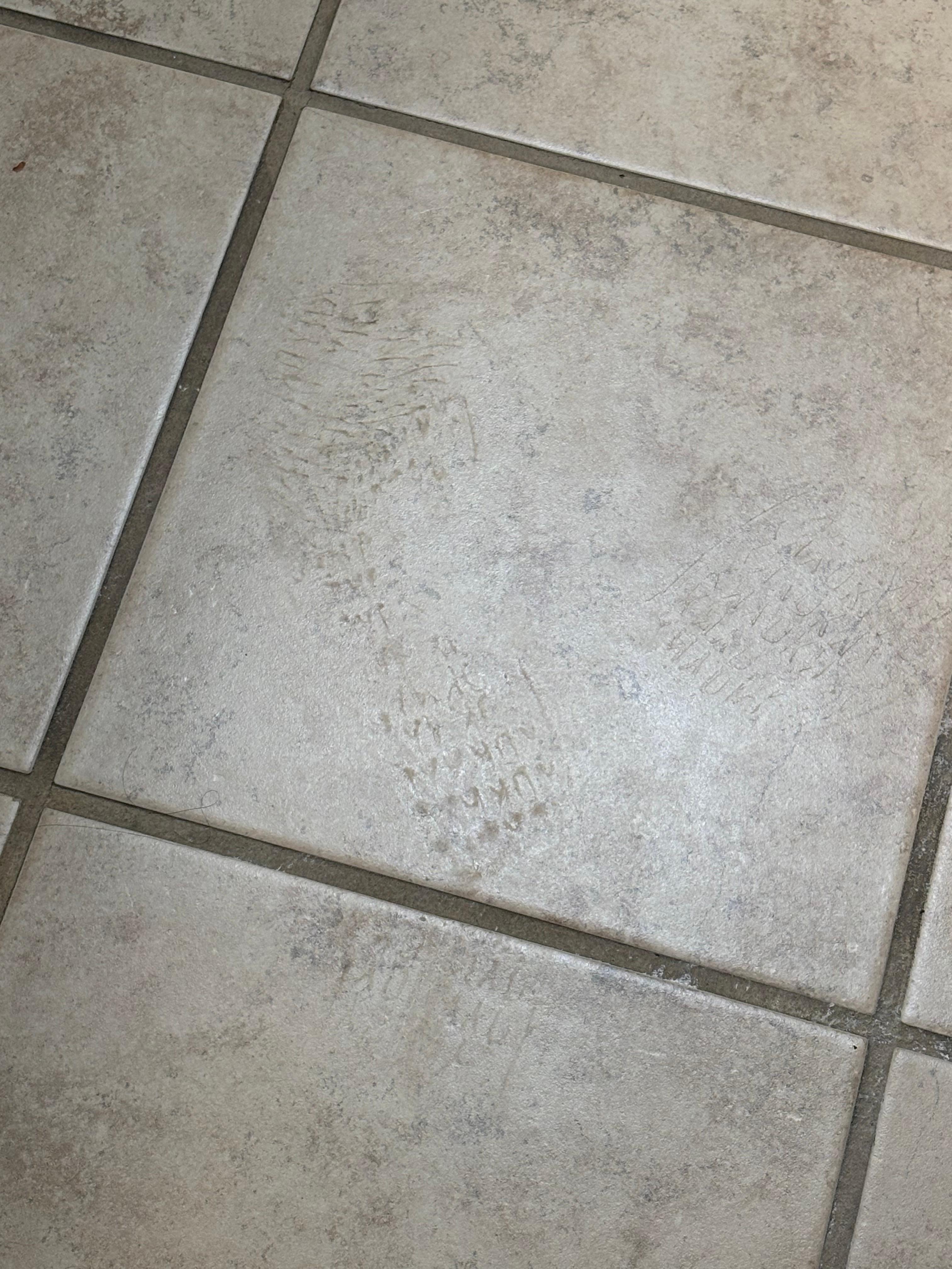 The dirty shoe print in the bathroom.