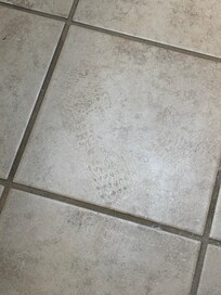 The dirty shoe print in the bathroom.