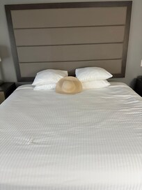 Comfy bed