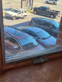 Spider web window