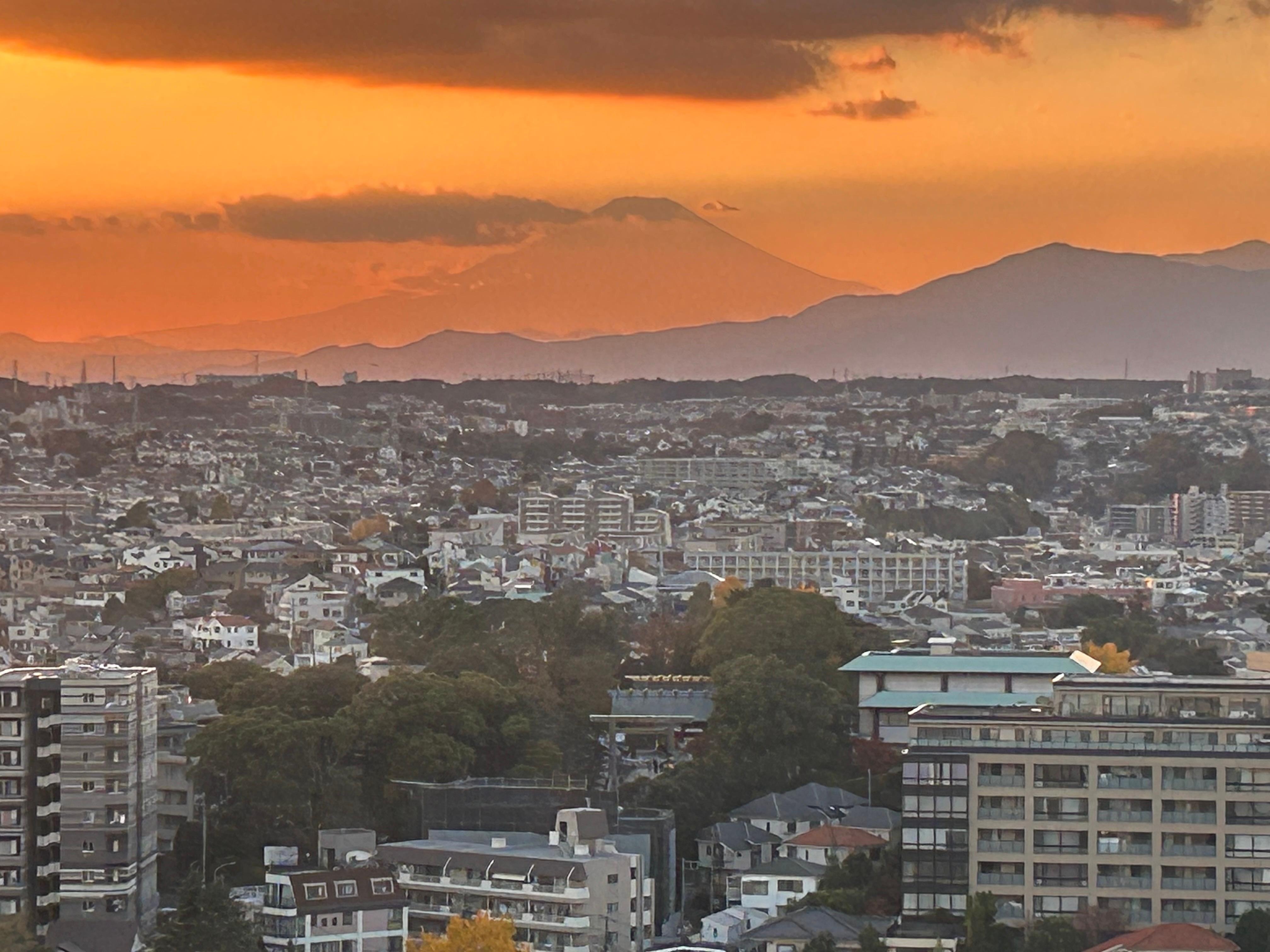 山側の部屋からは天気が良いと富士山が見えます。