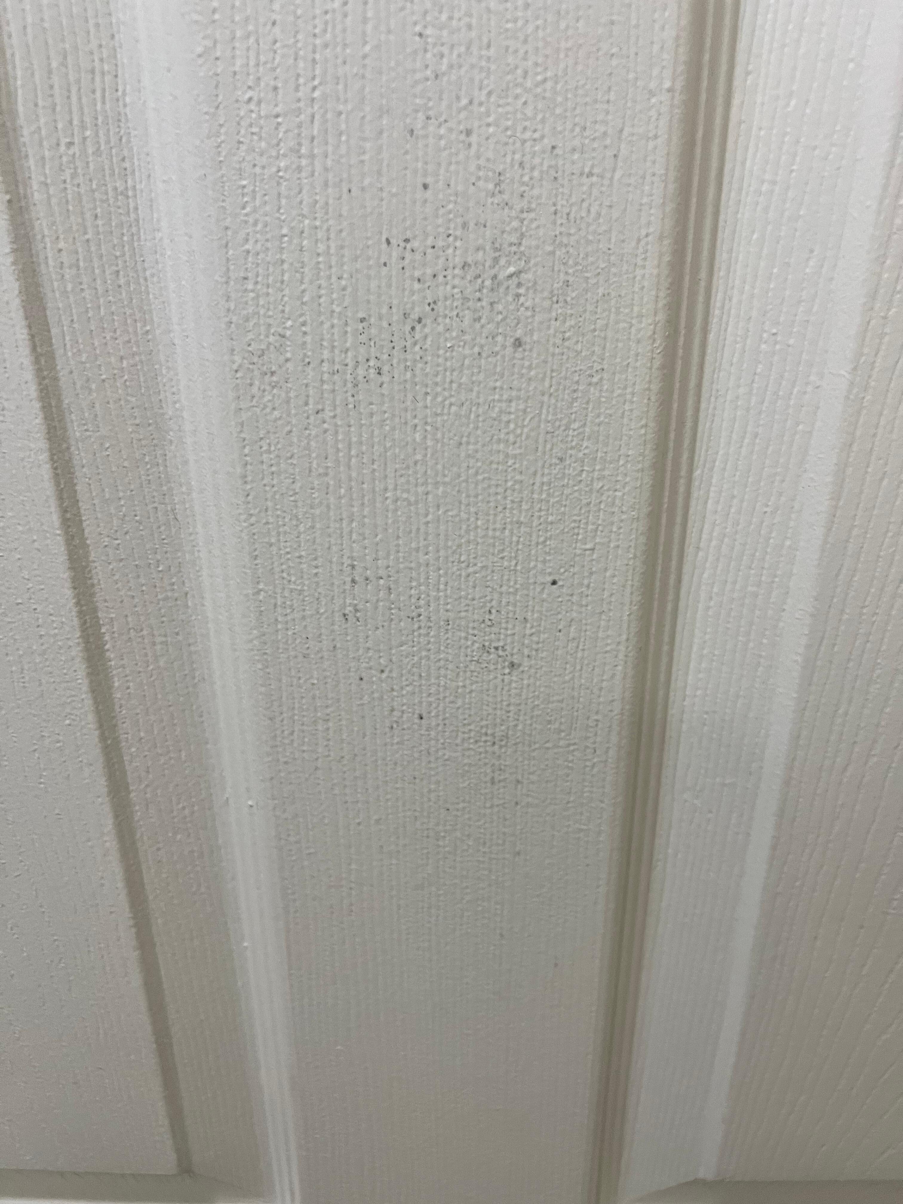 Painted over mold/mildew