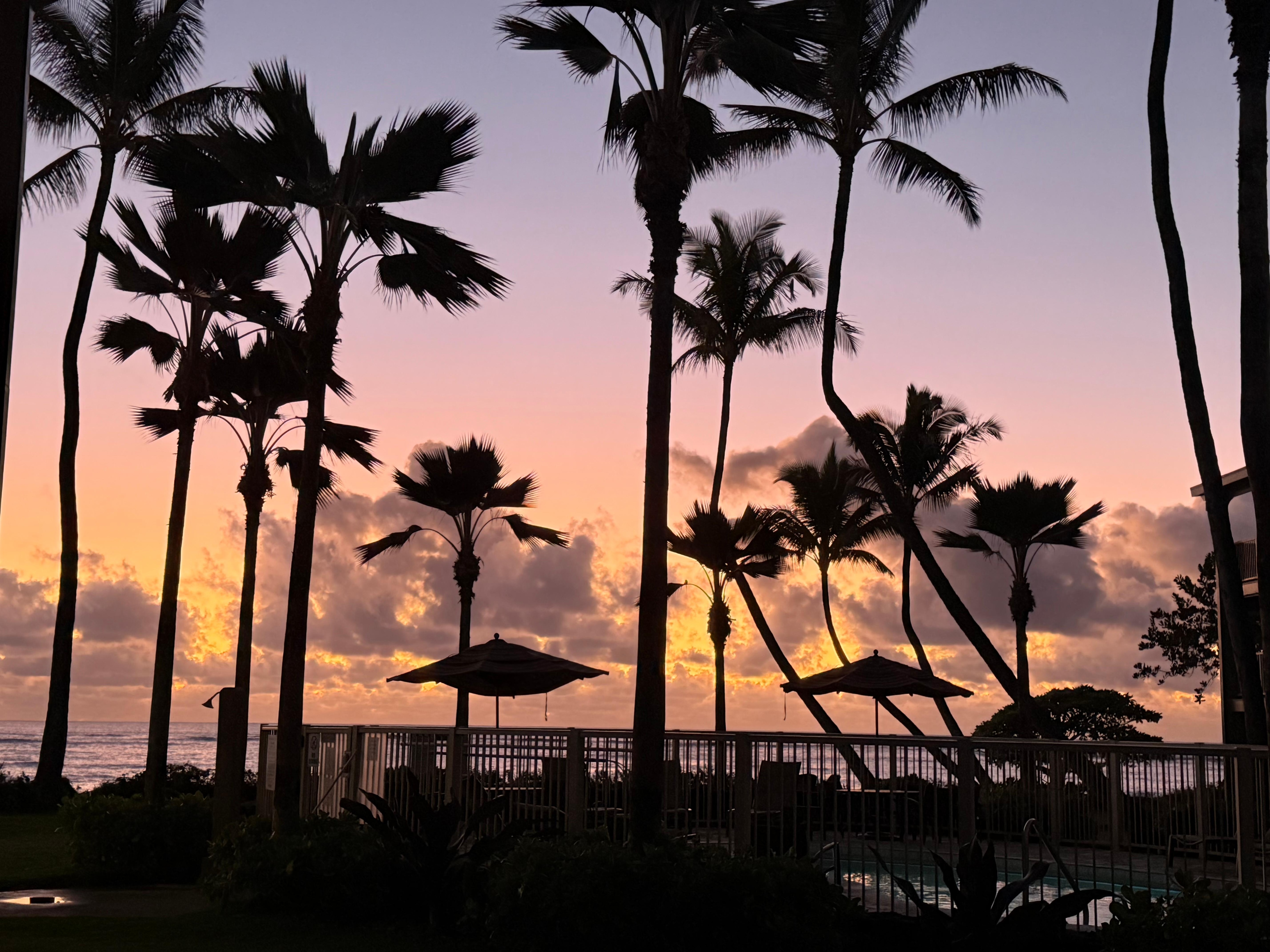 Sunrise out our front door.  
