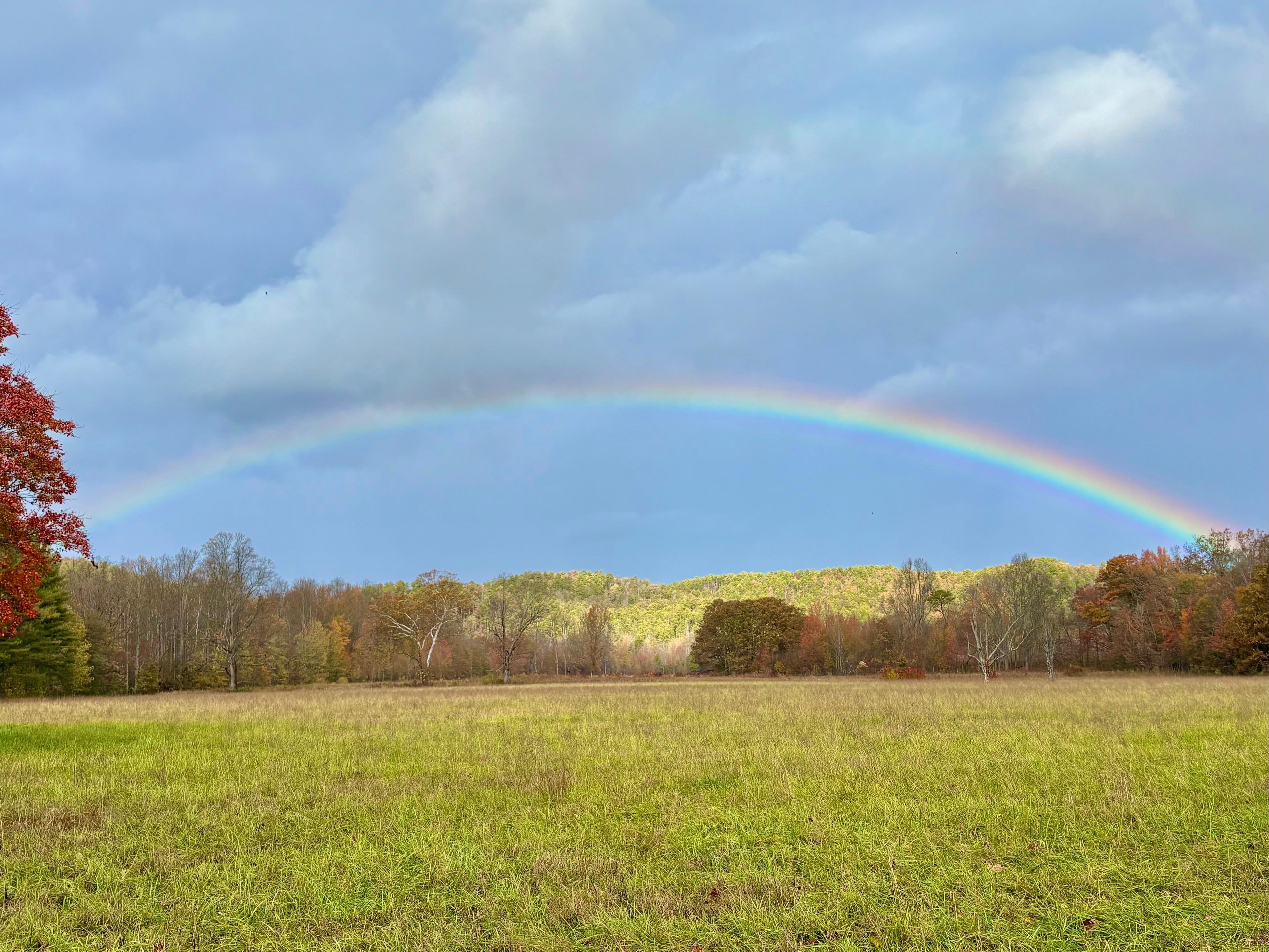 Cades cove visitor center 