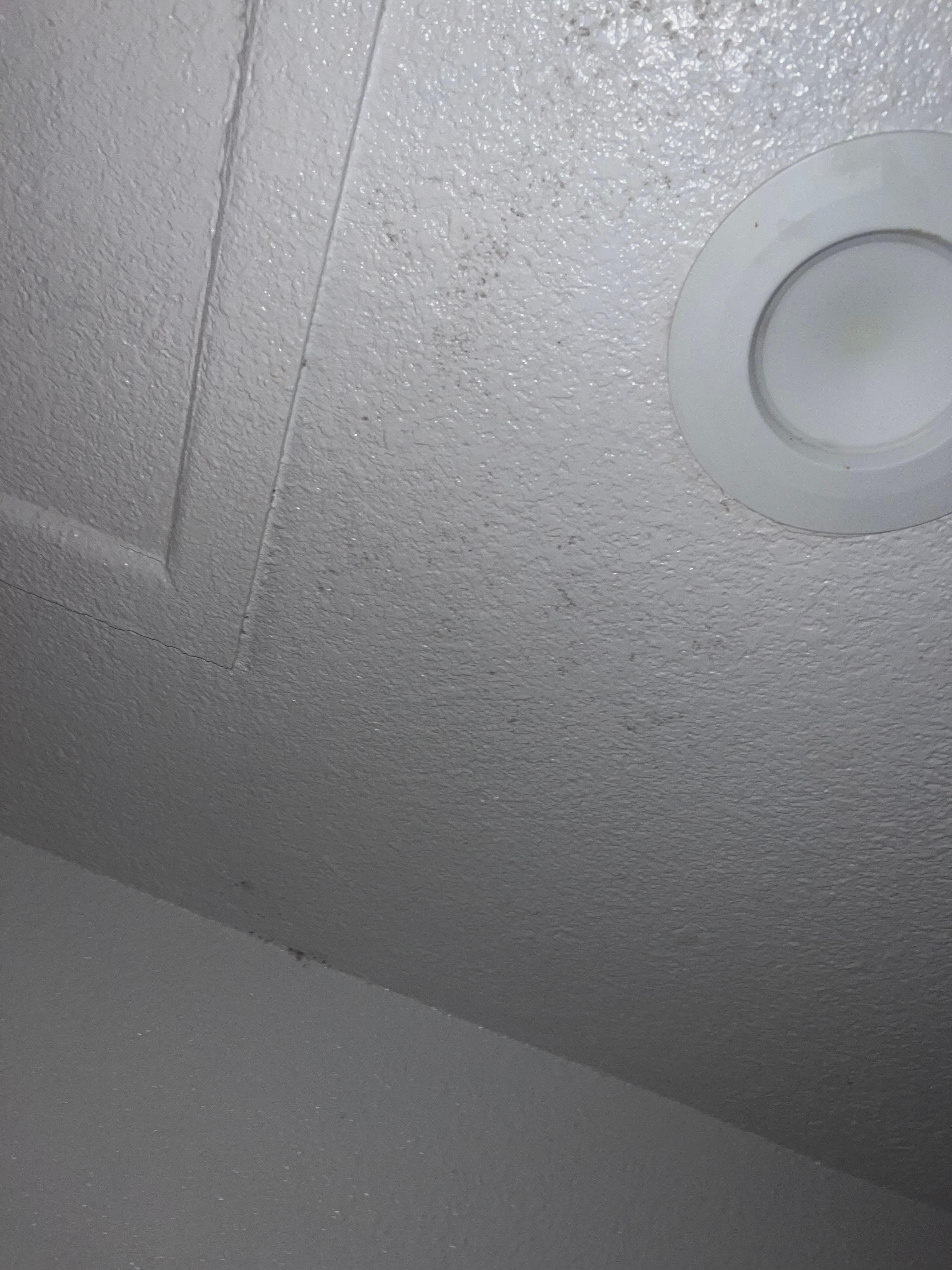 Ceiling mold coming out the paint they just paint over that mold makes it worst 