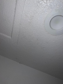 Ceiling mold coming out the paint they just paint over that mold makes it worst