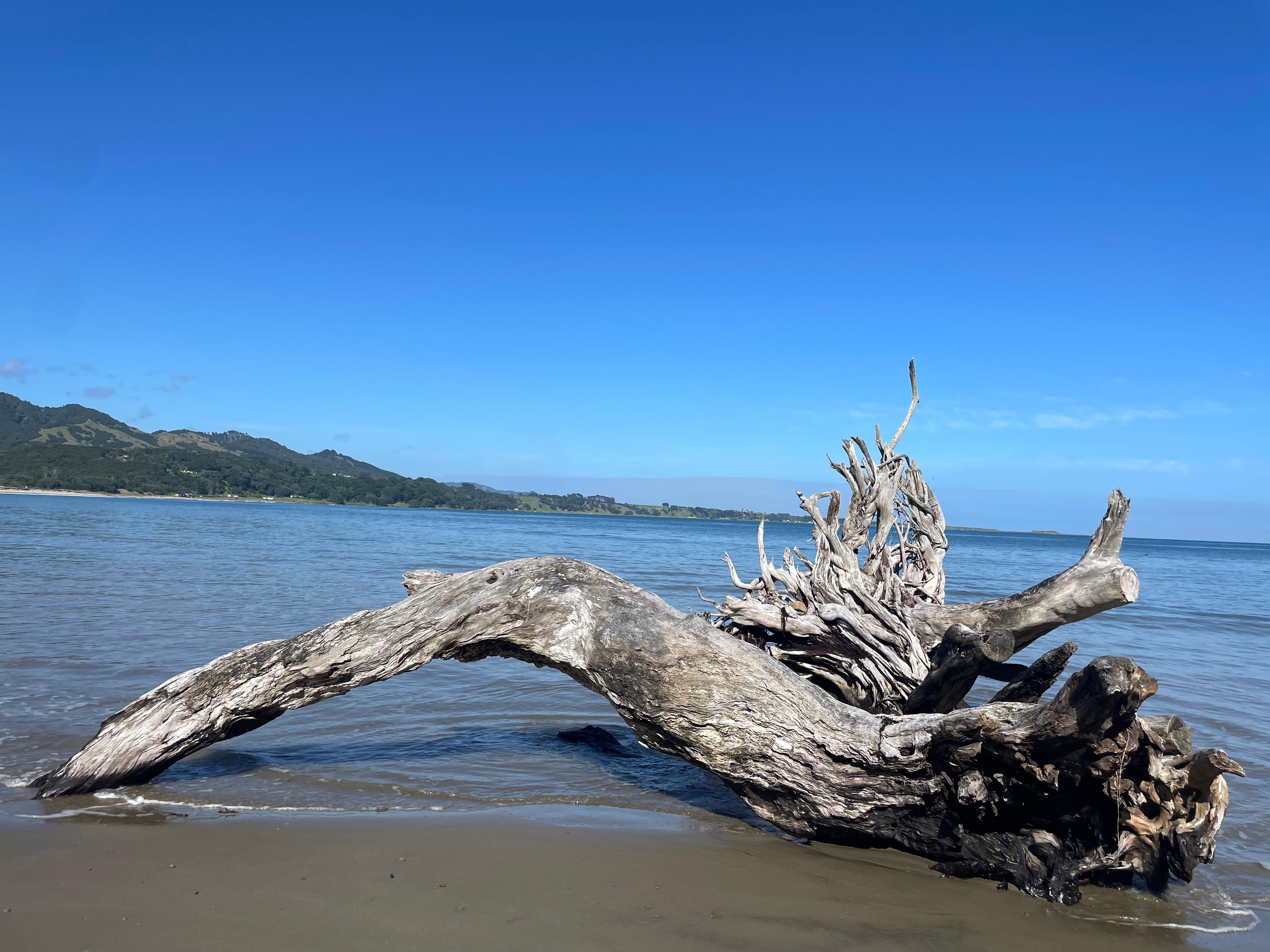 Peaceful nearby beach, perfect for swimming