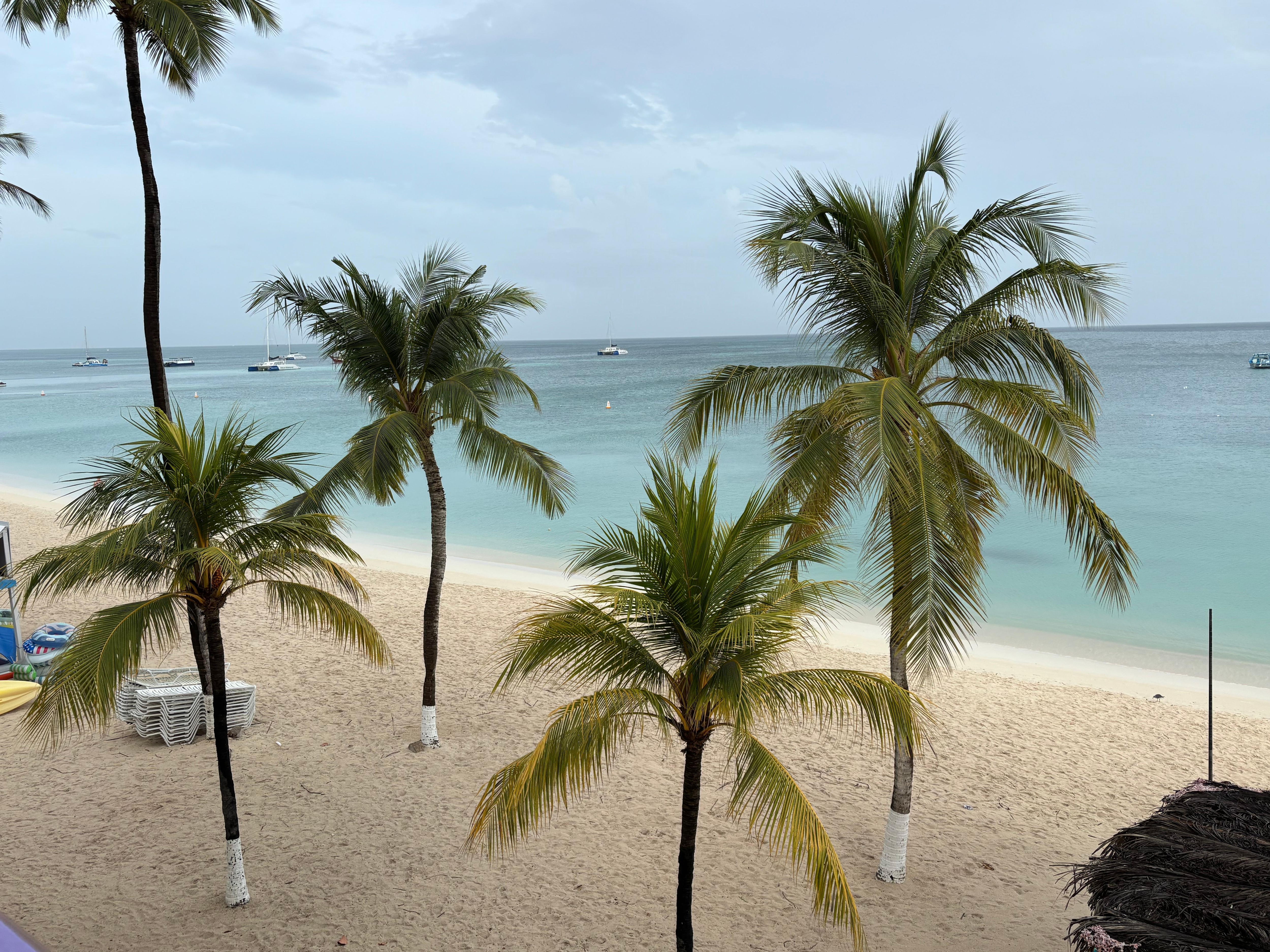 View from the ocean view room