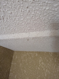 Dust hanging from the ceiling