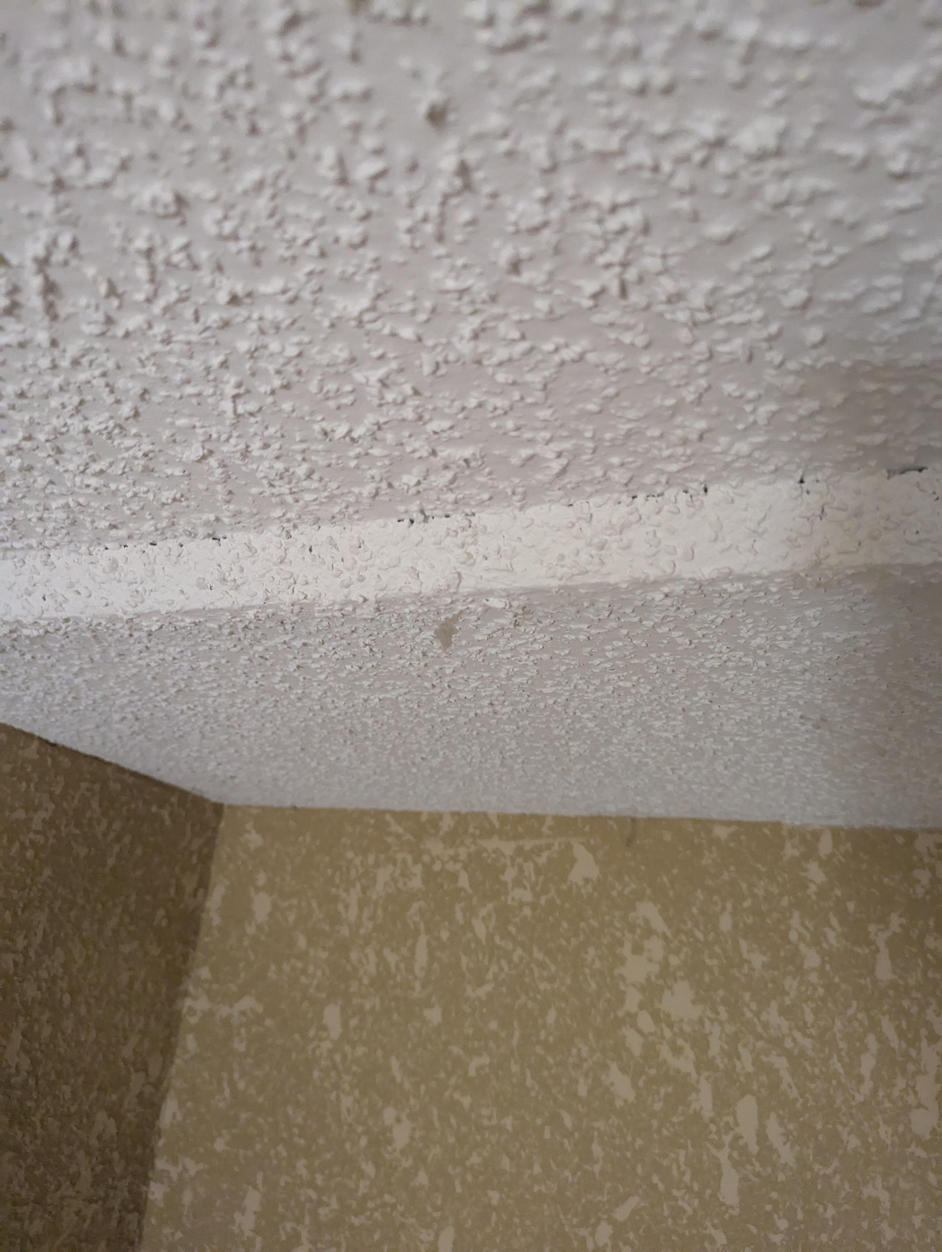 Dust hanging from the ceiling
